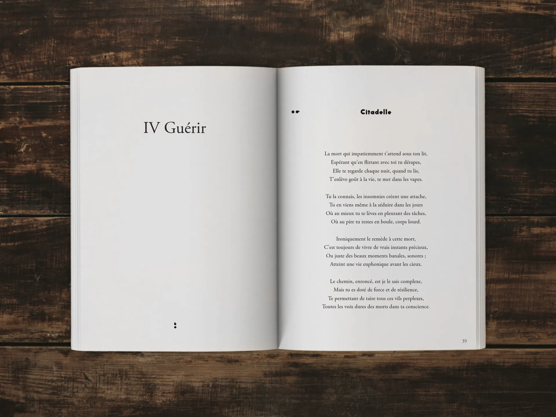 Cover of the book