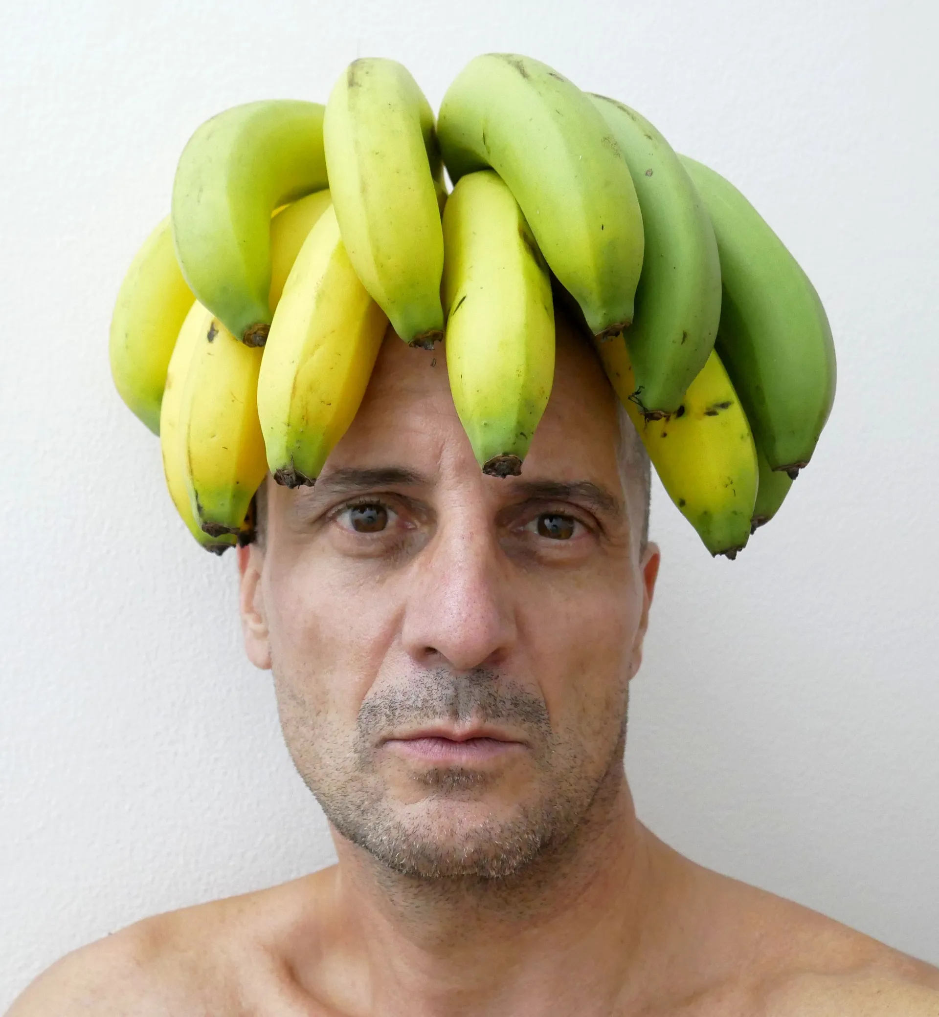 Portrait of the author