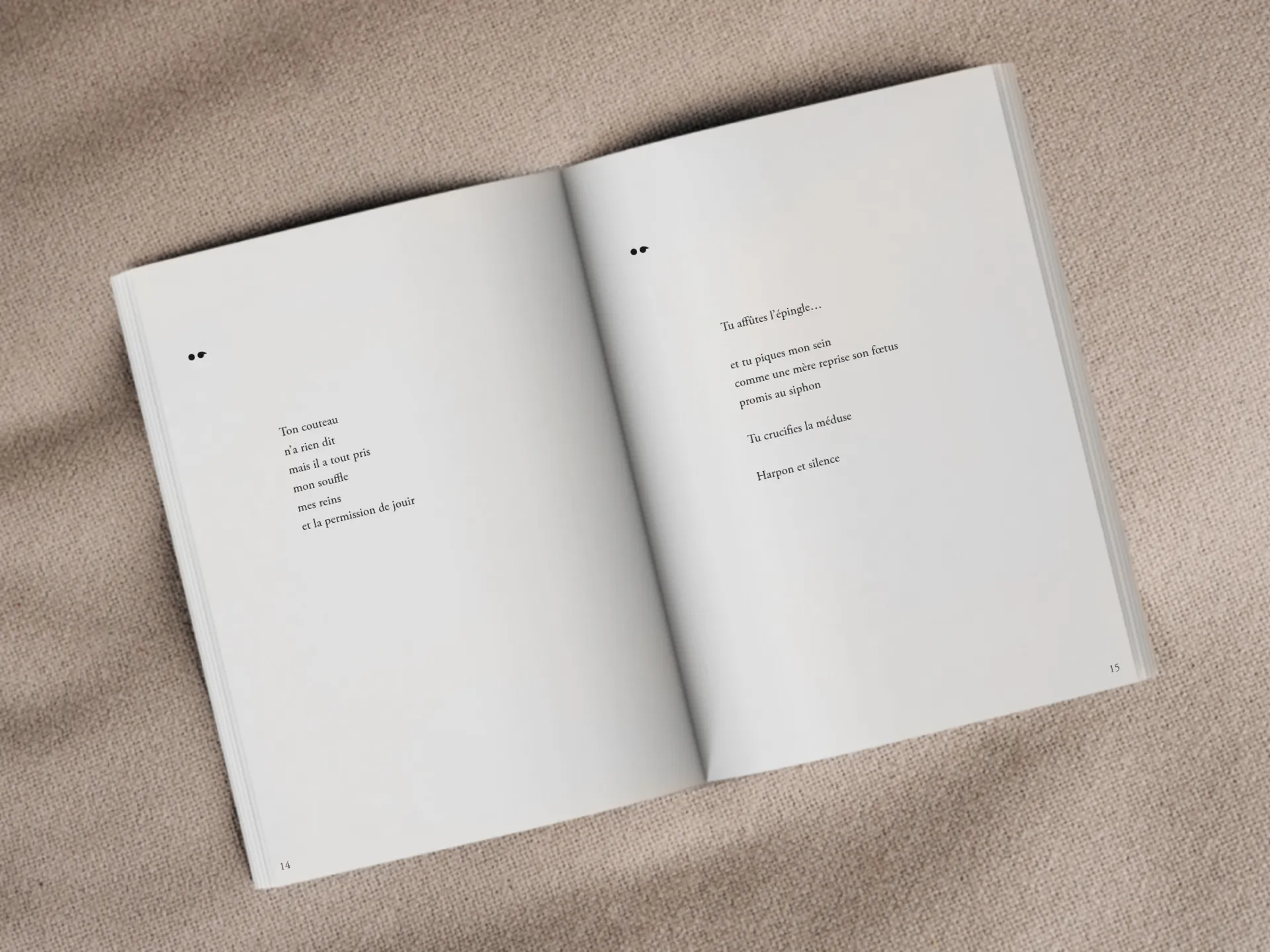 Cover of the book