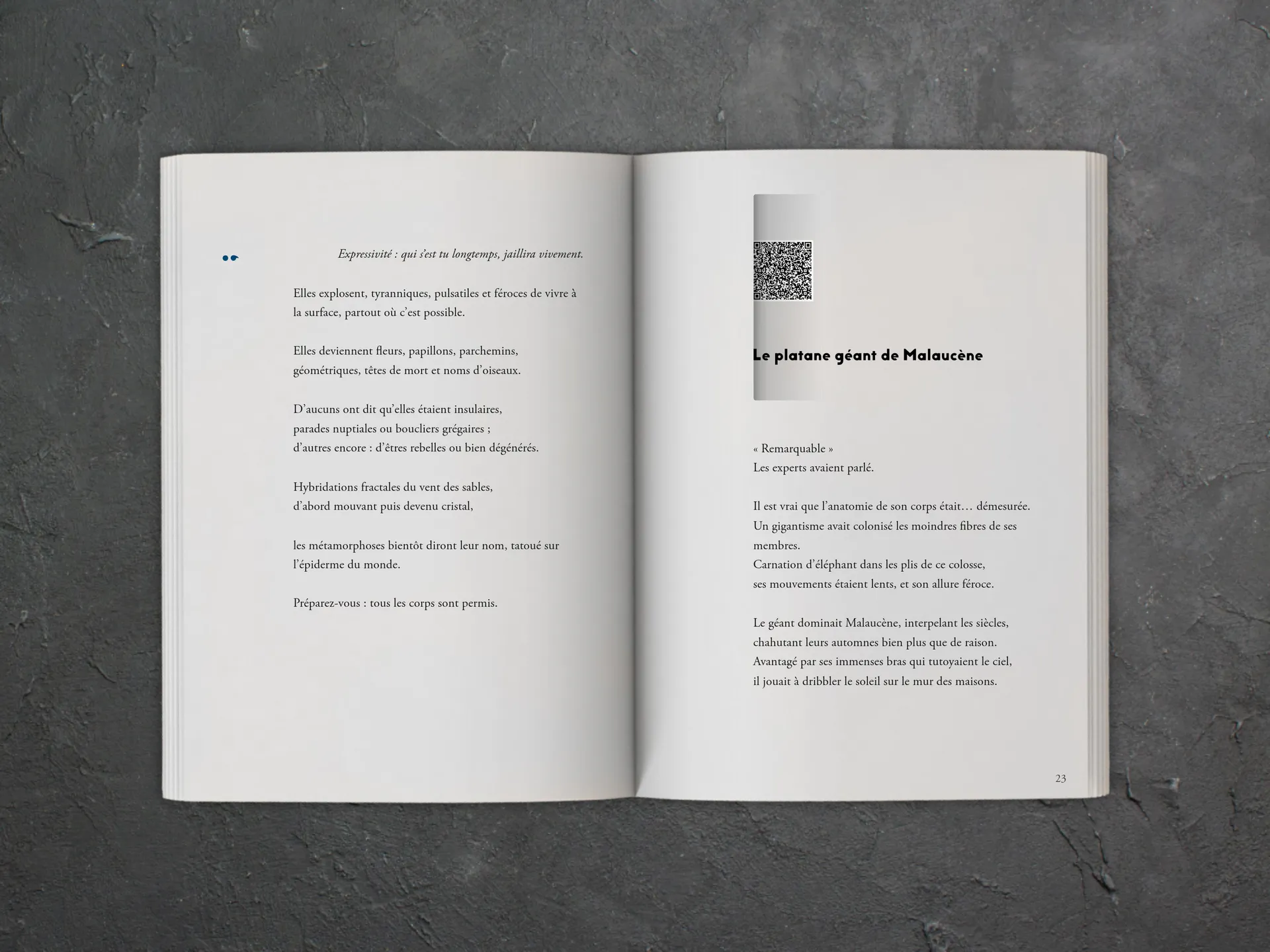 Cover of the book