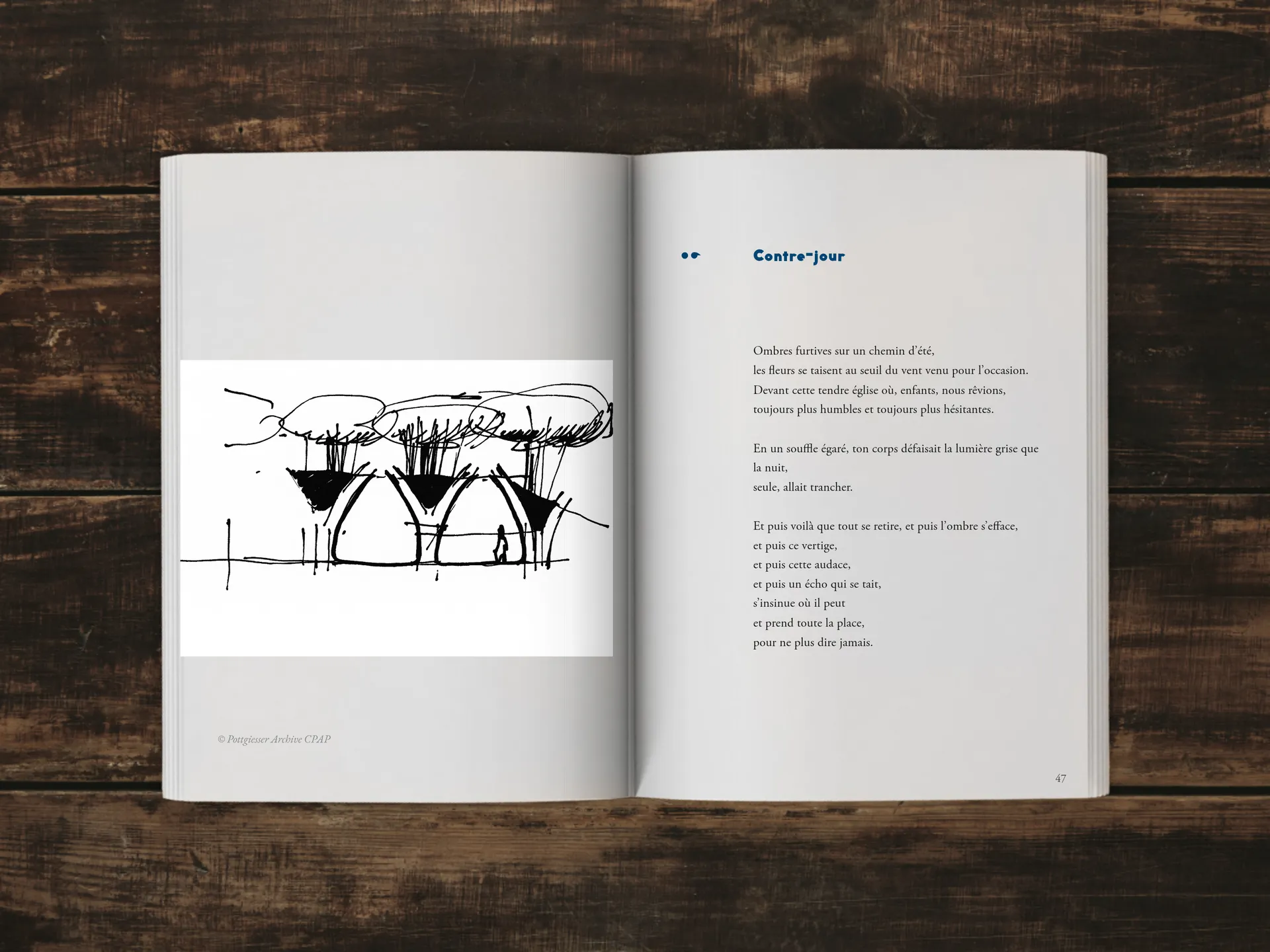 Cover of the book