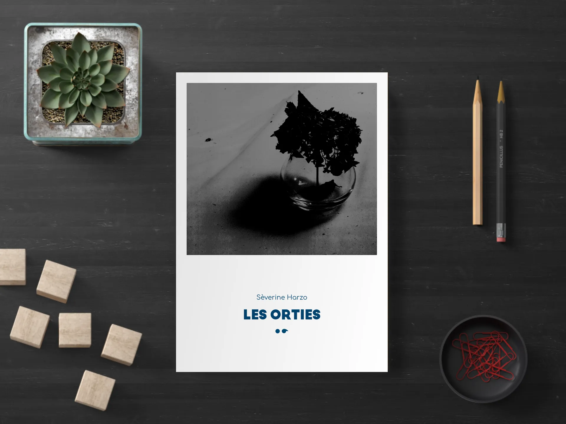 Cover of the book
