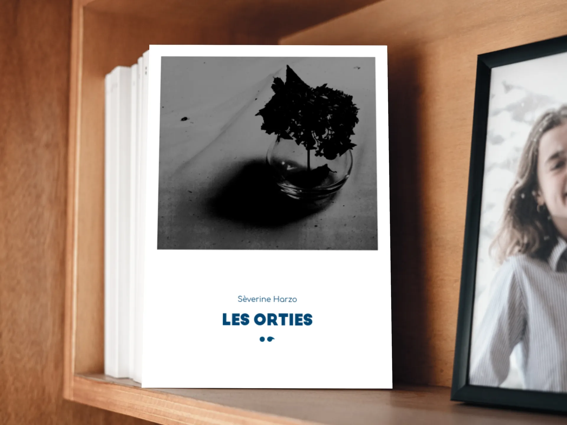 Cover of the book