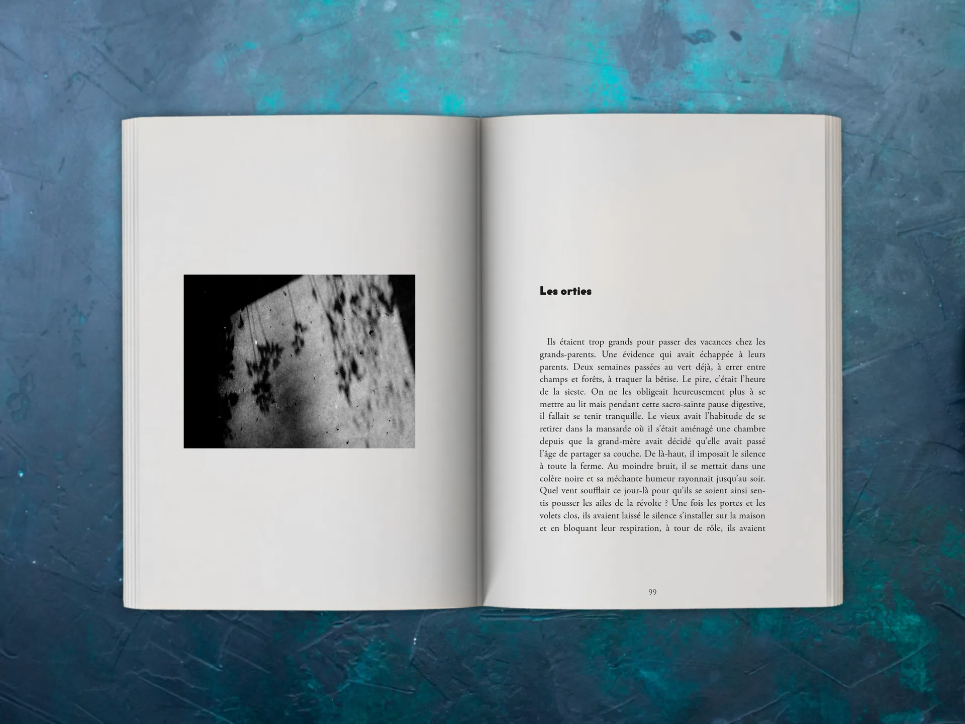 Cover of the book