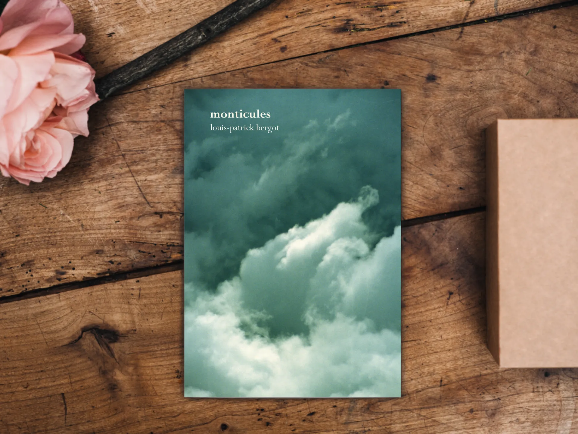 Cover of the book