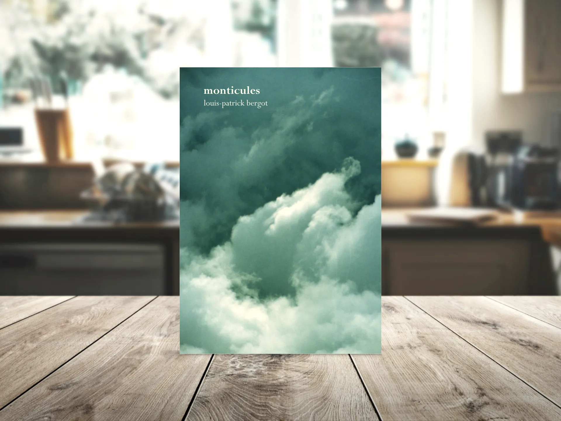 Cover of the book