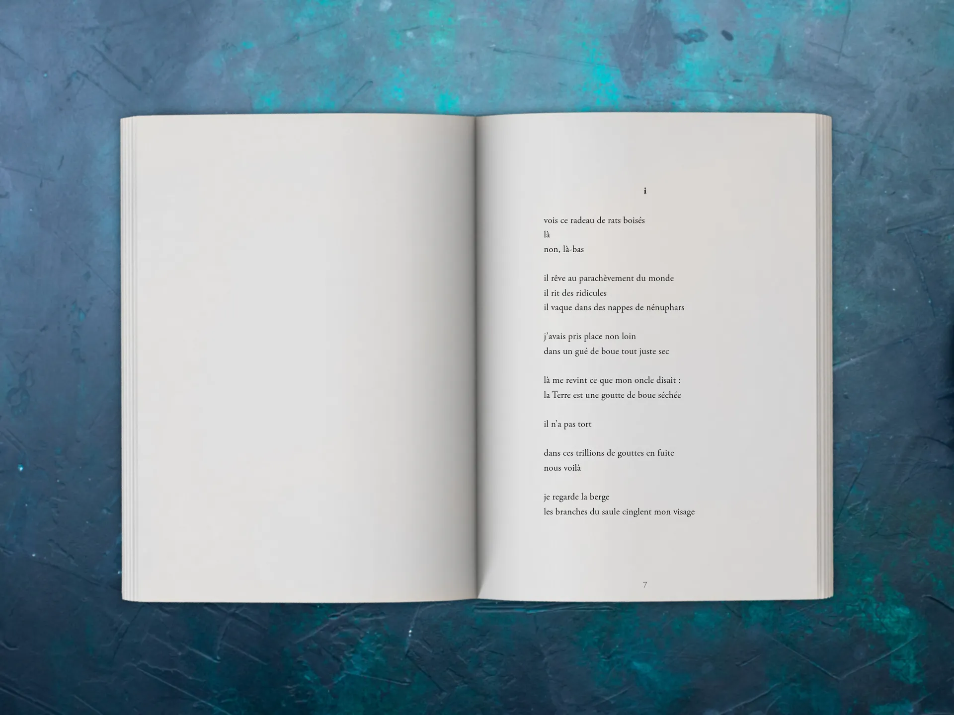 Cover of the book