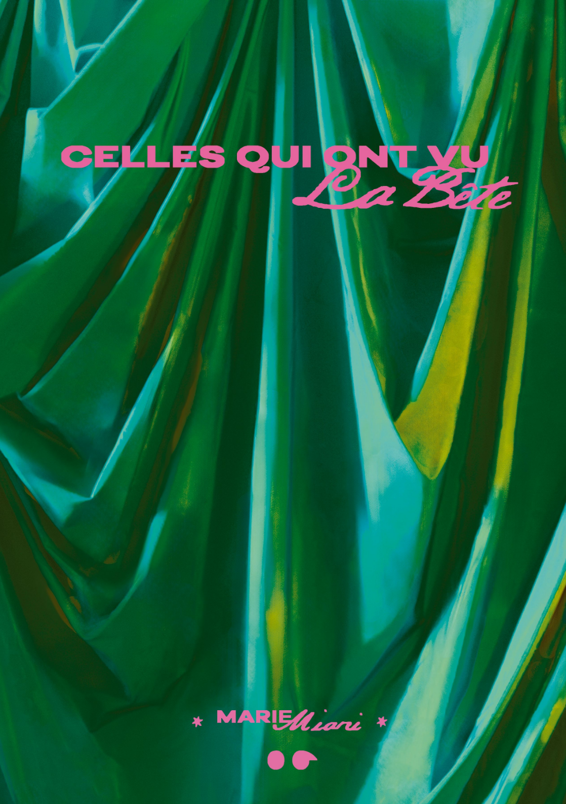 Cover of Celles qui ont vu la bête