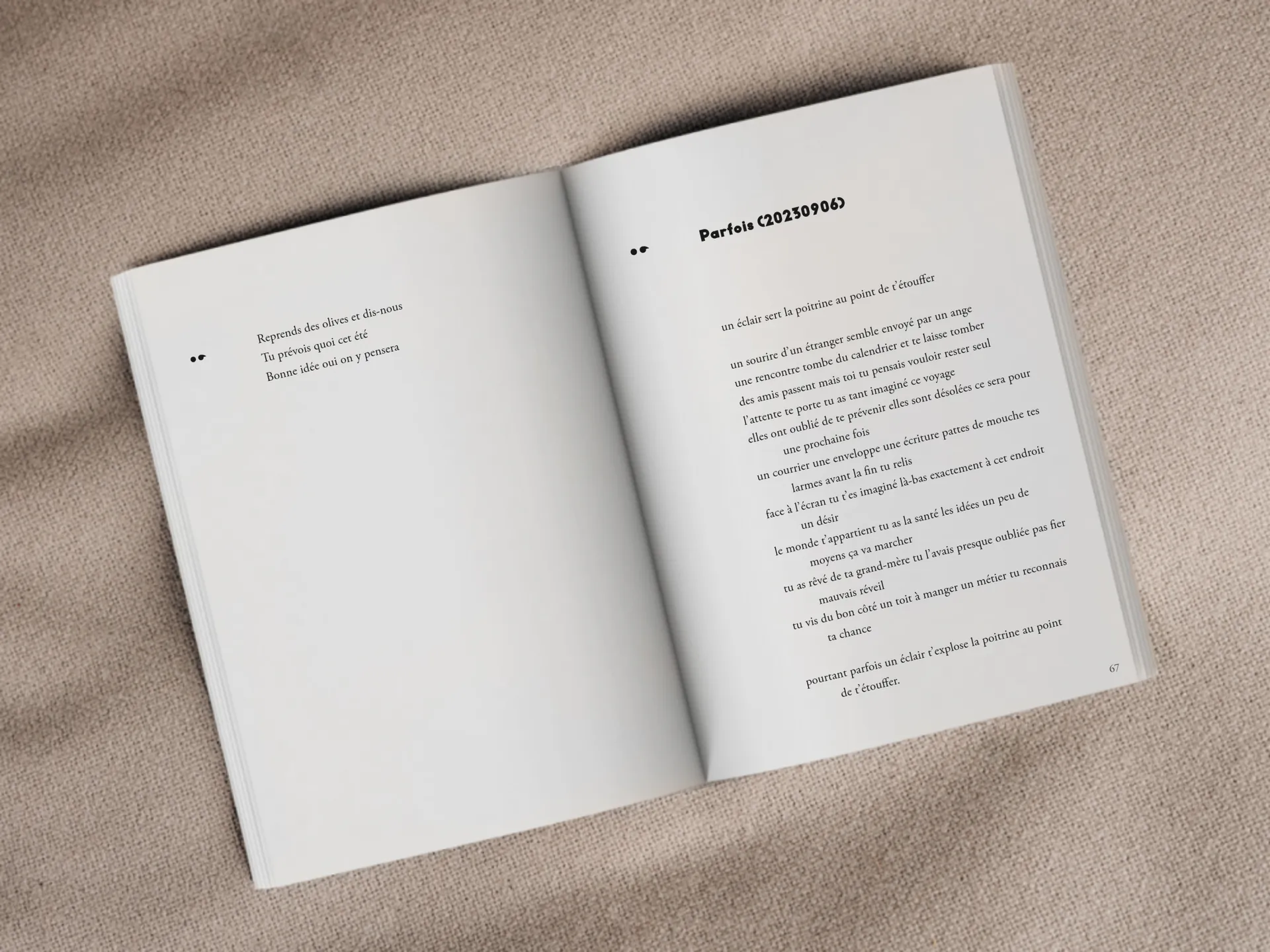 Cover of the book