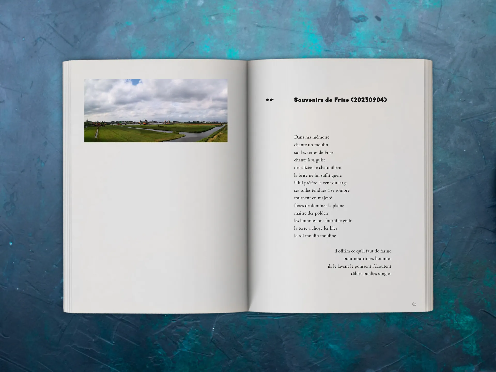 Cover of the book