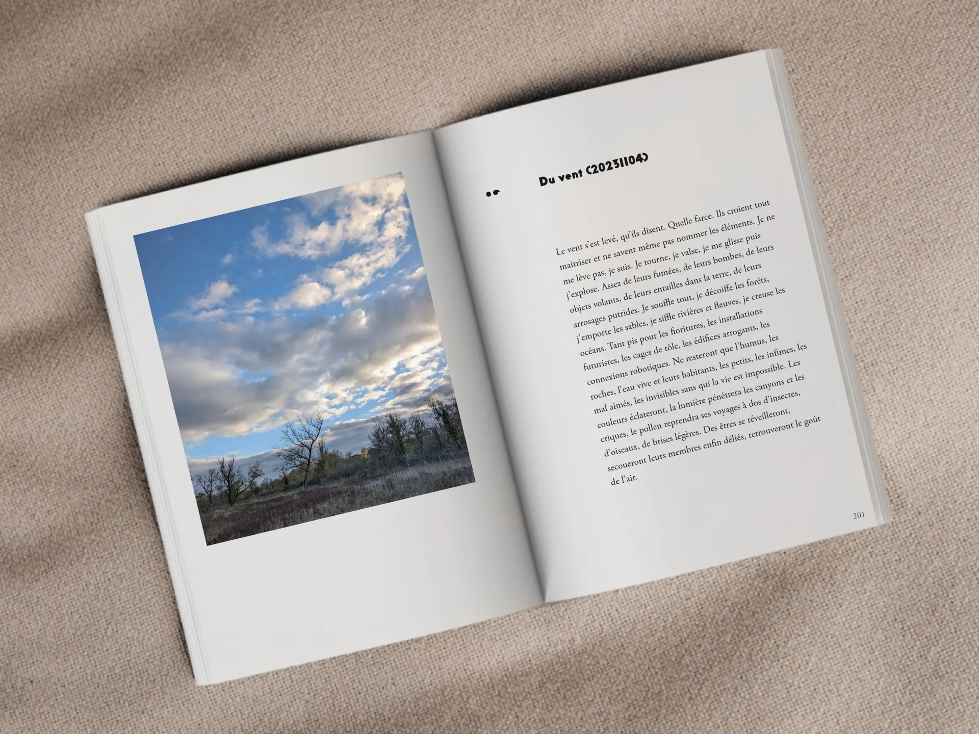 Cover of the book