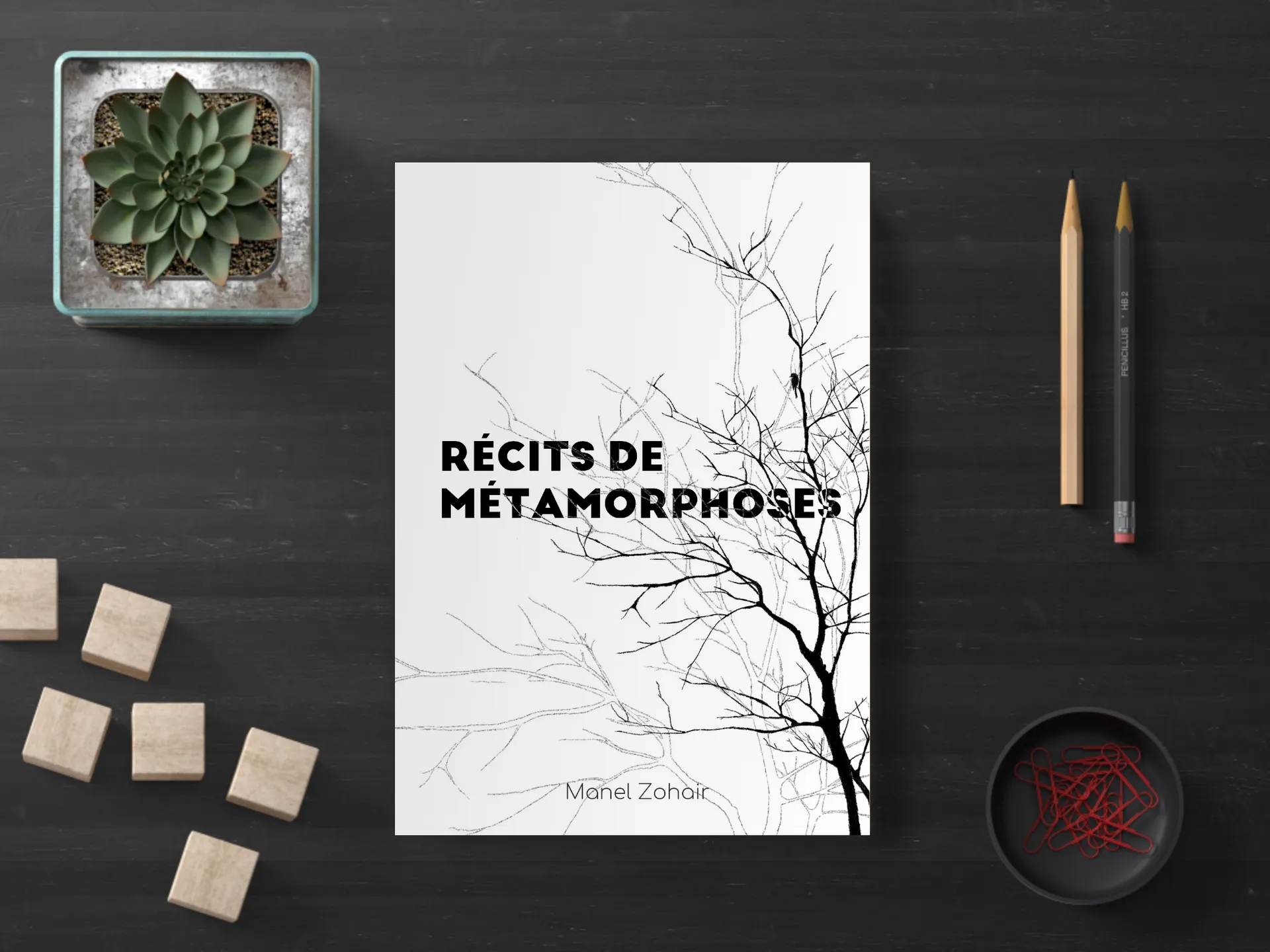 Cover of the book