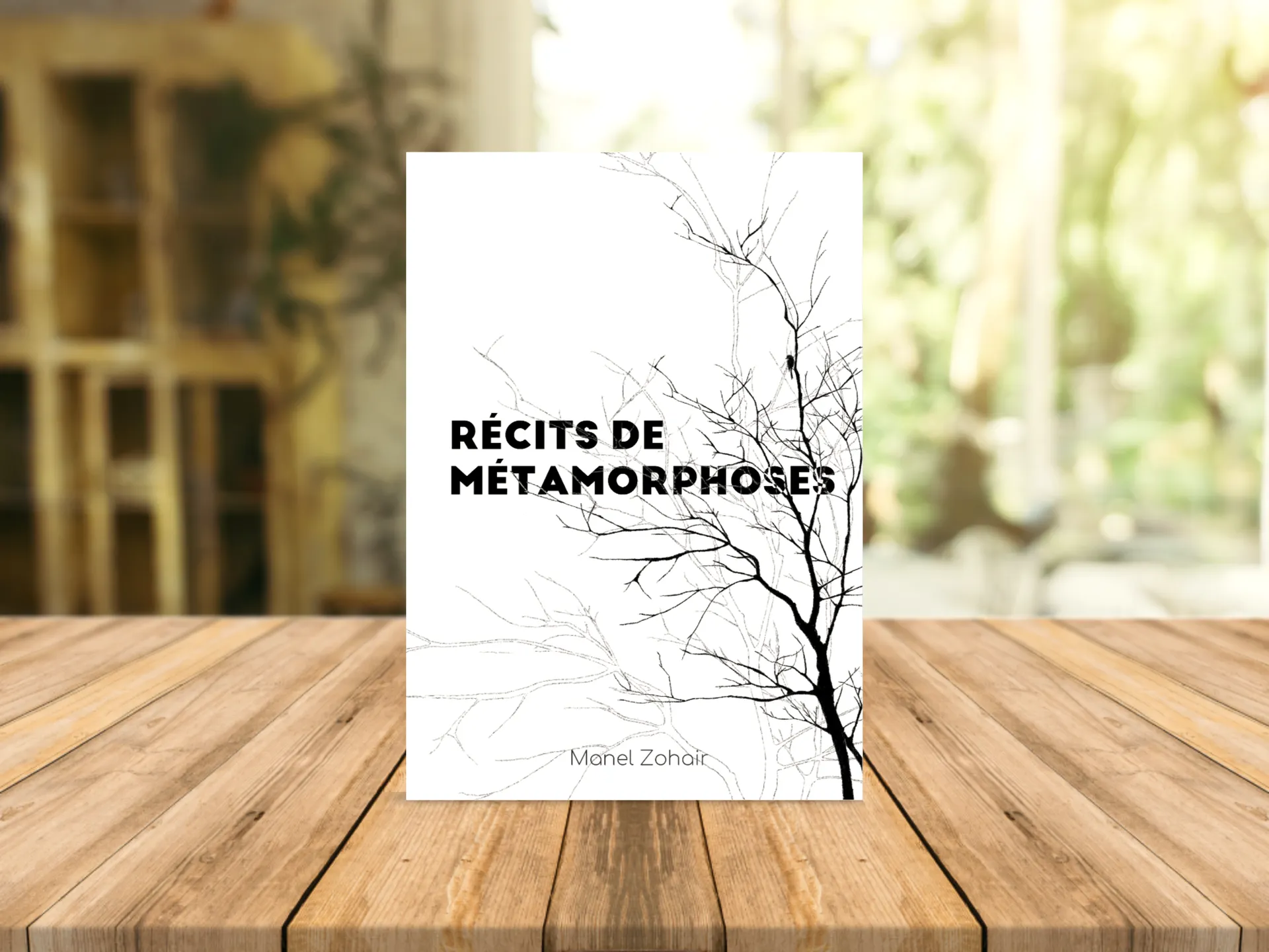Cover of the book