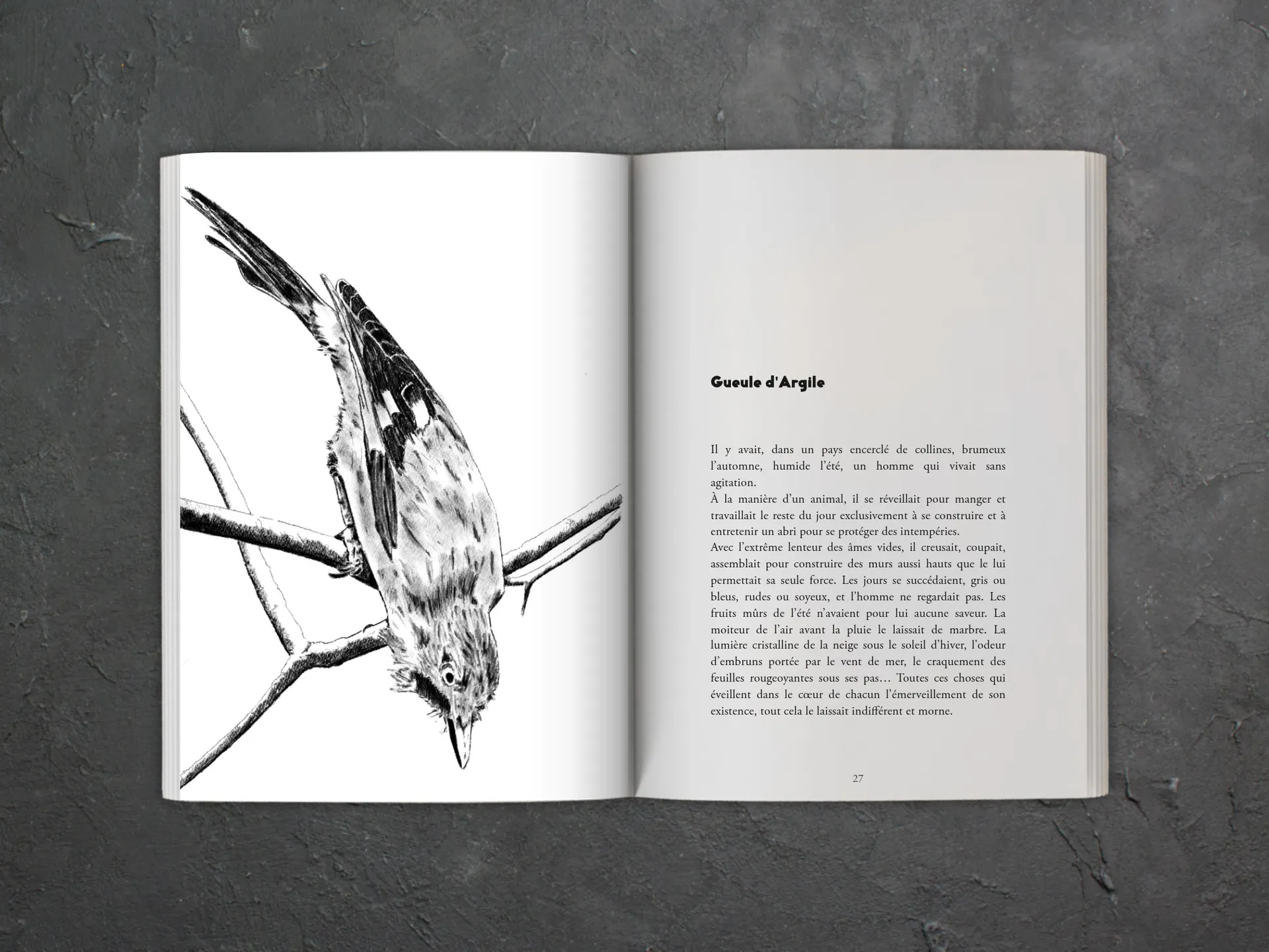 Cover of the book