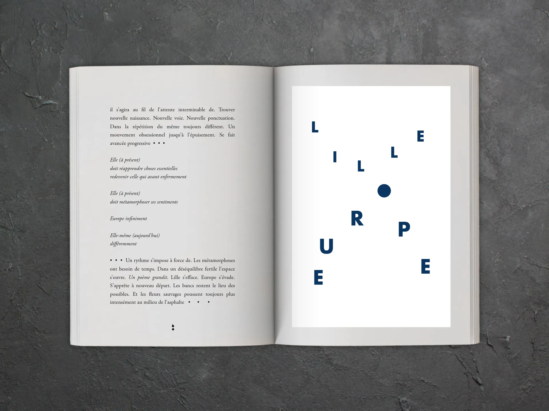 Cover of the book