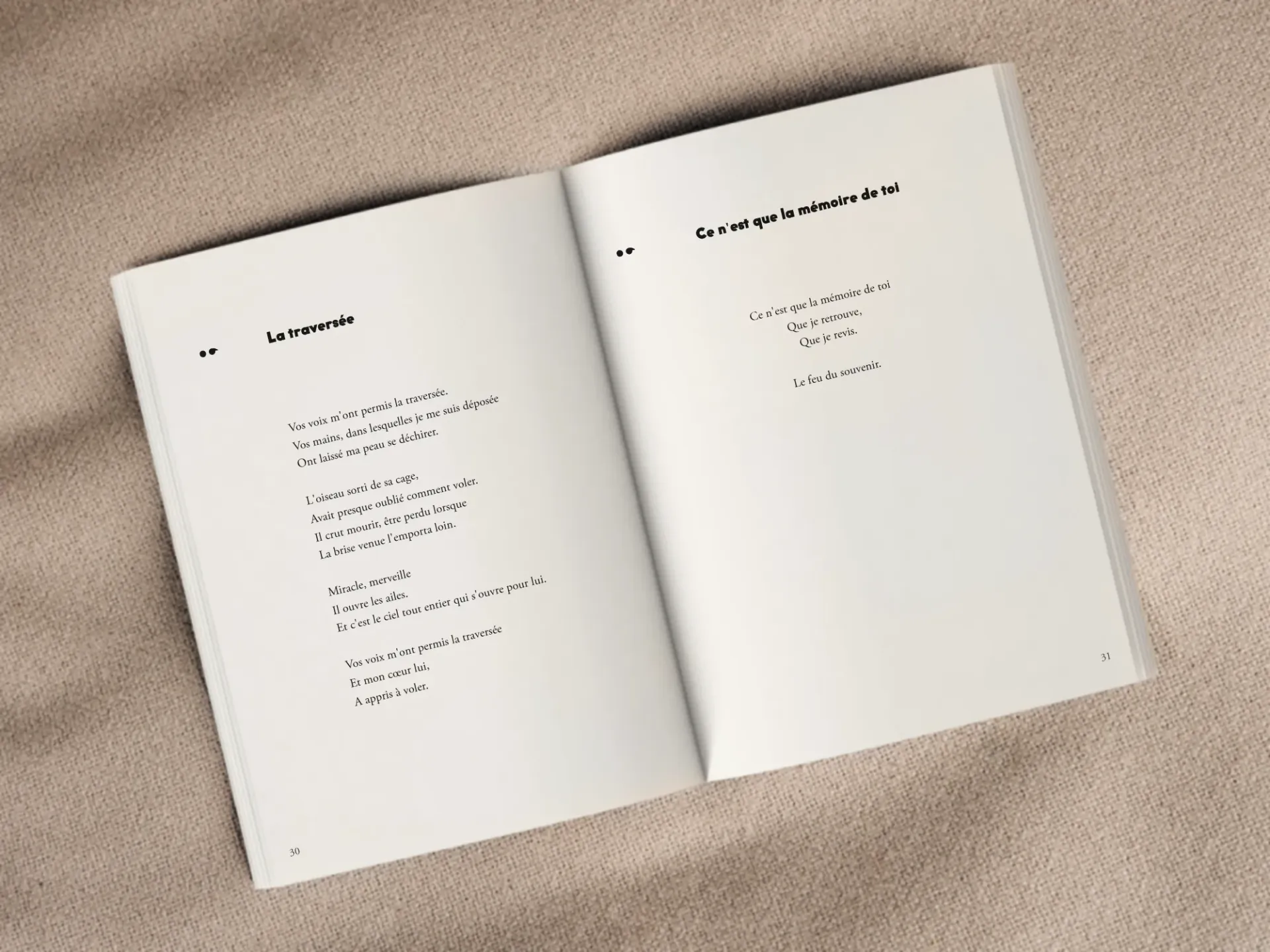 Cover of the book