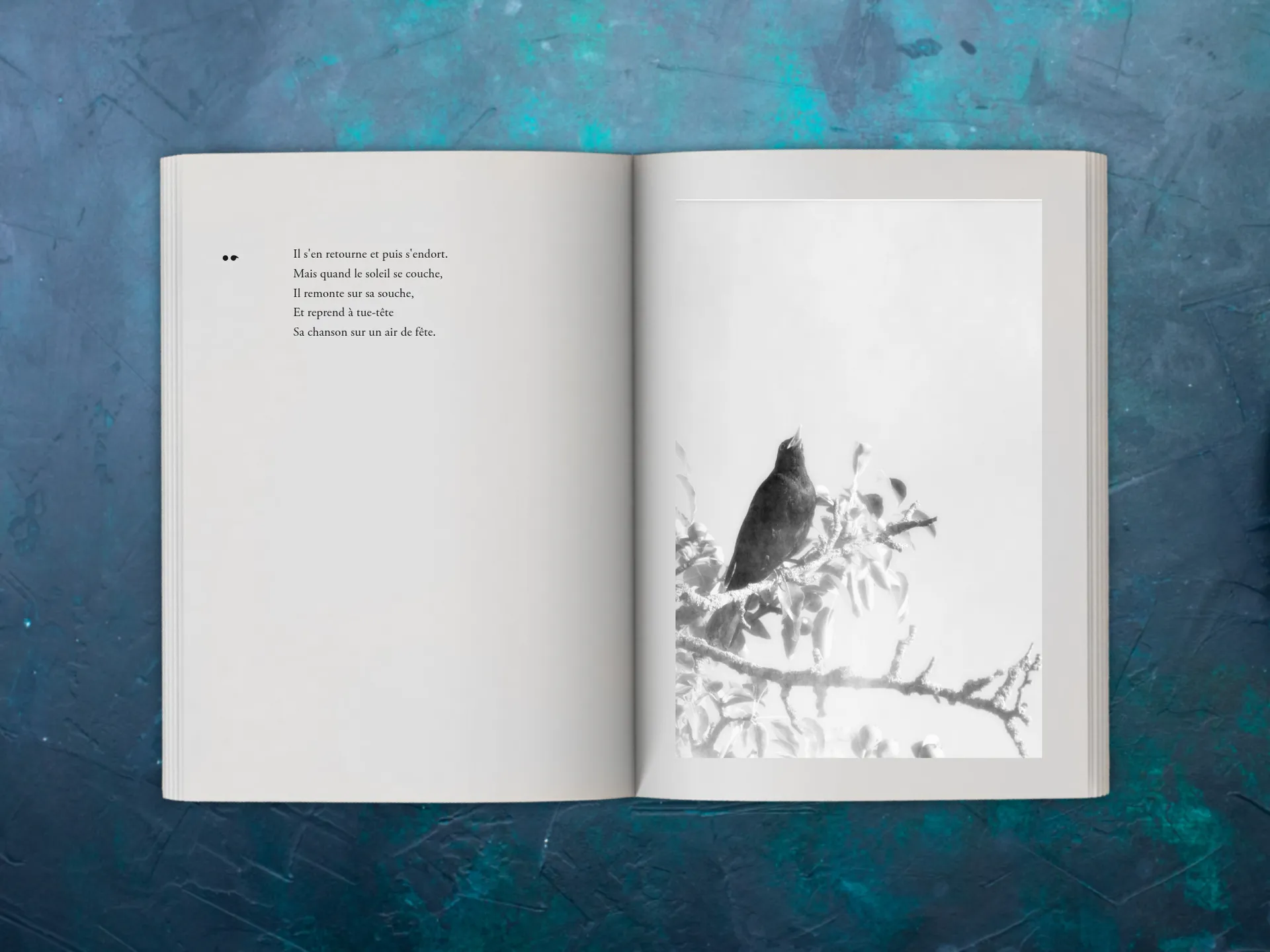 Cover of the book