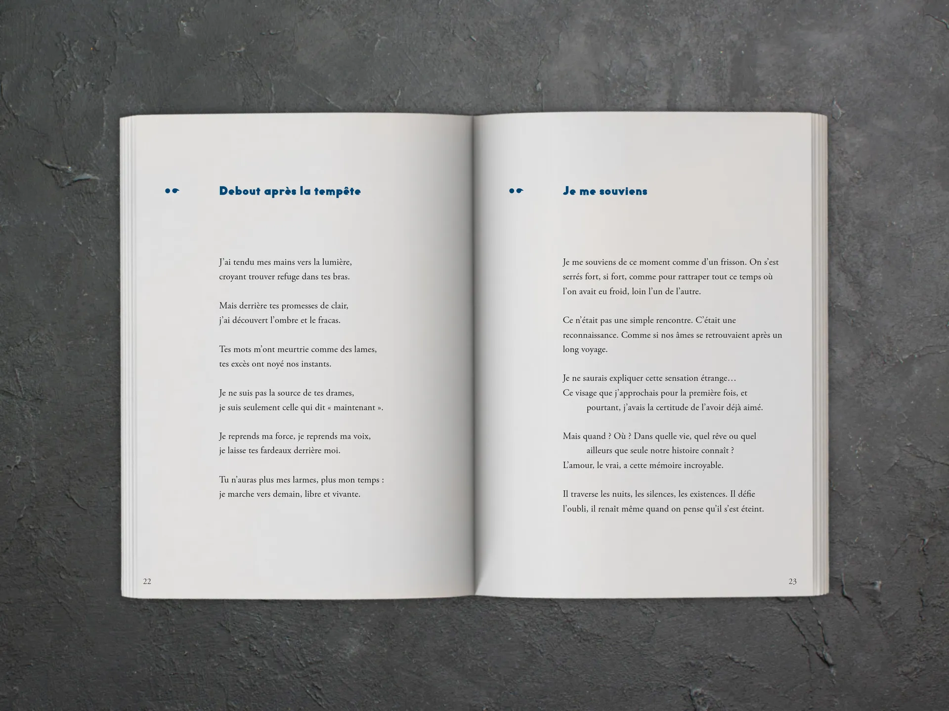 Cover of the book