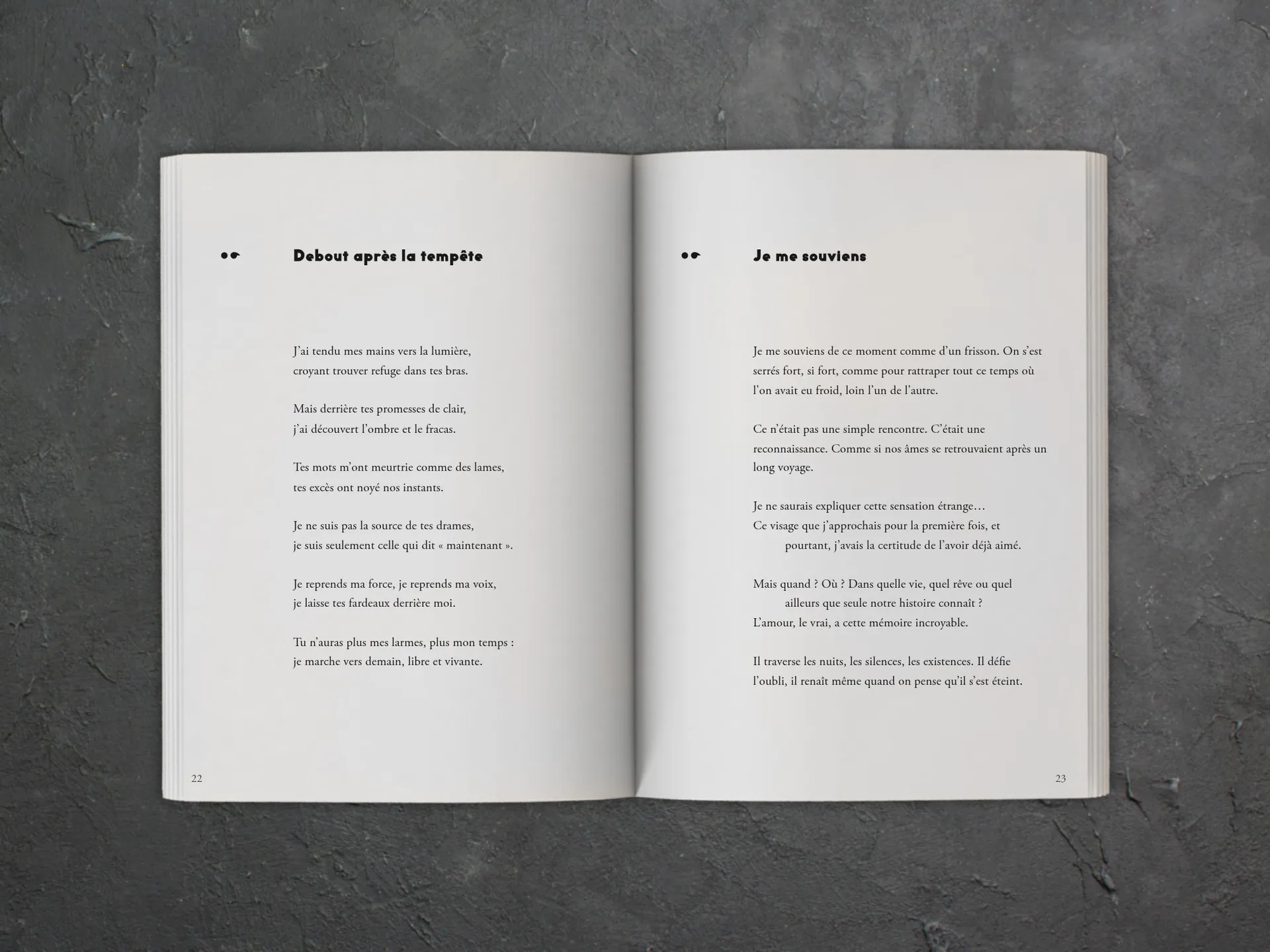 Cover of the book