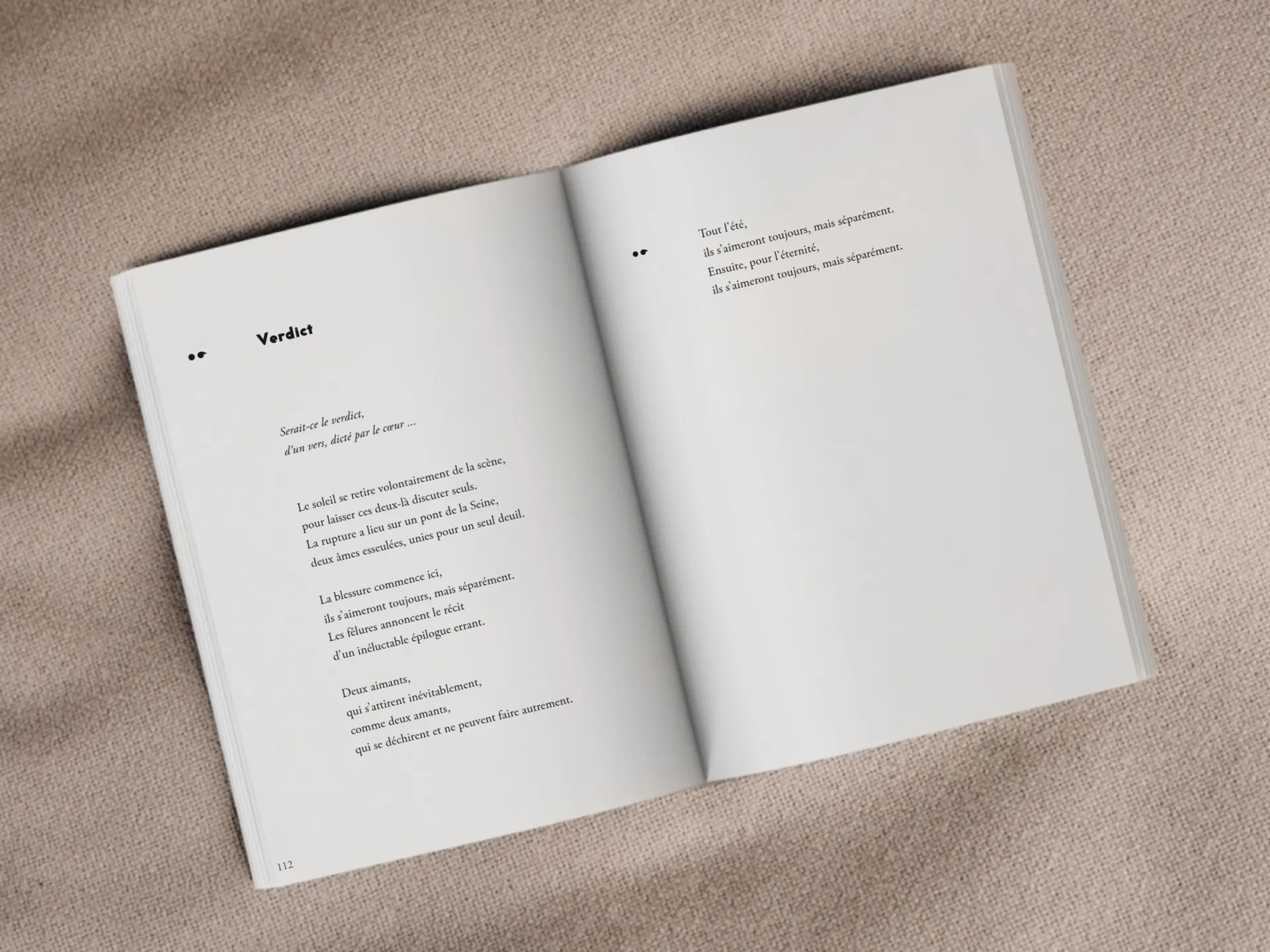 Cover of the book