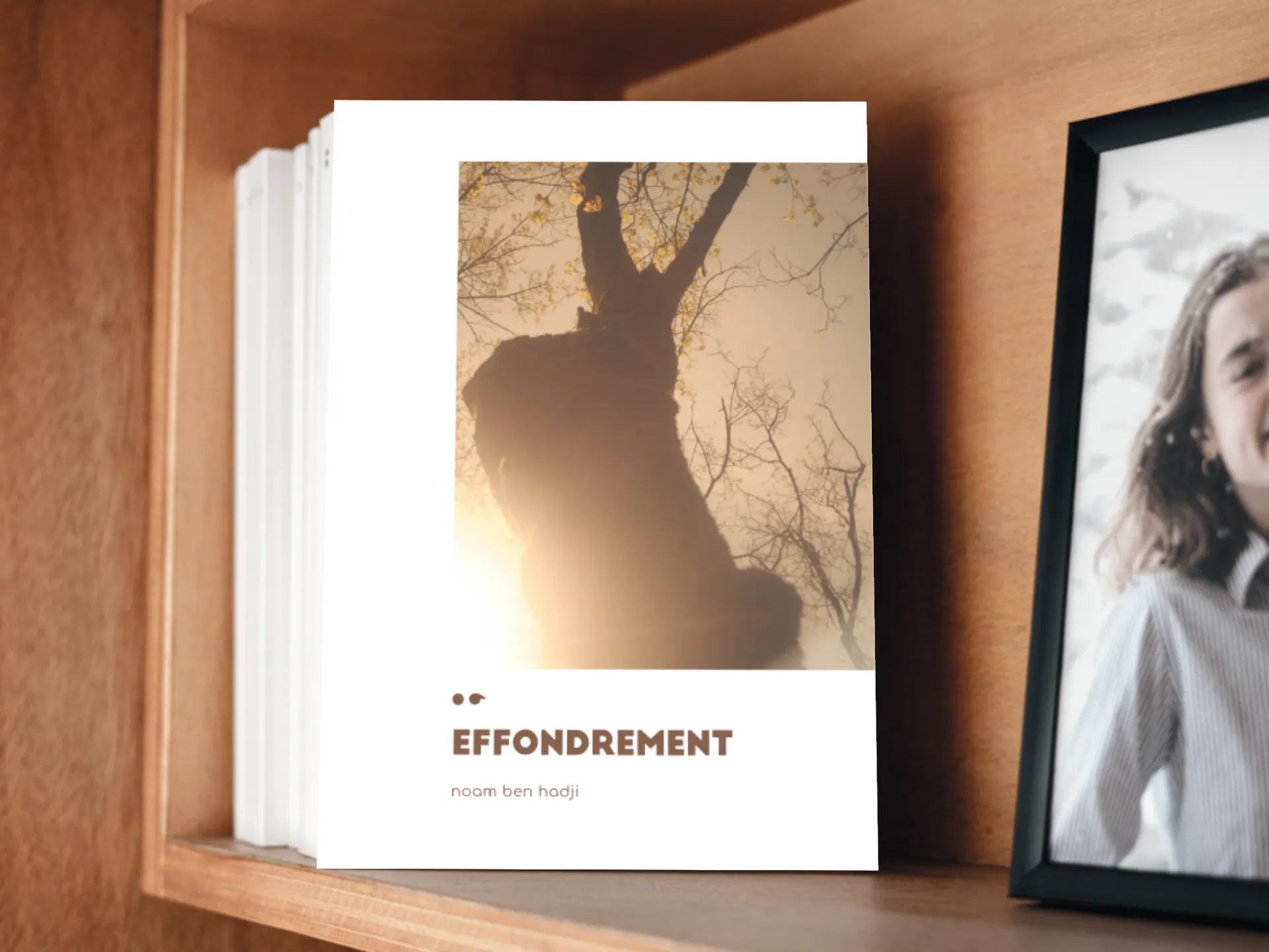 Cover of the book