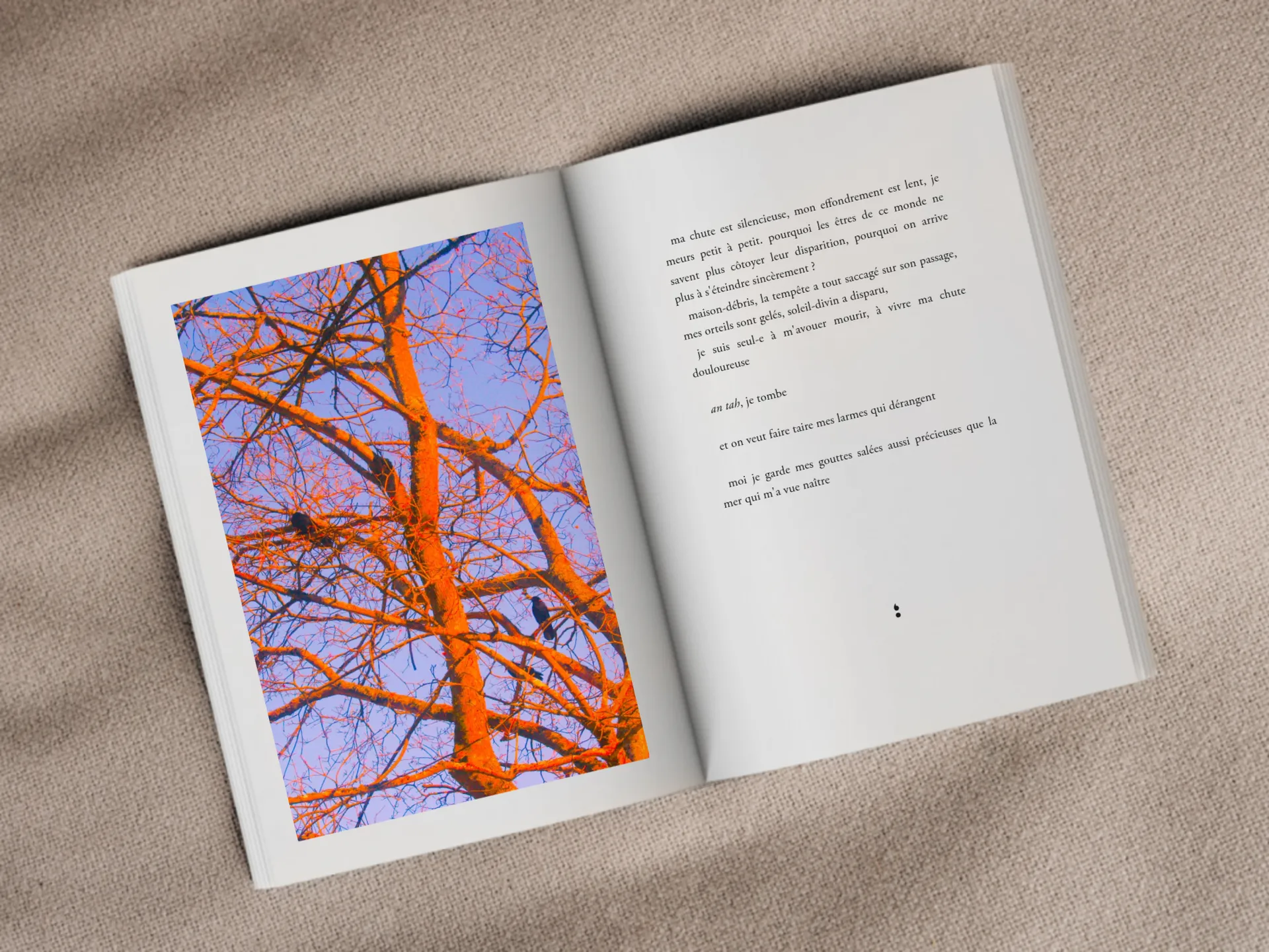 Cover of the book