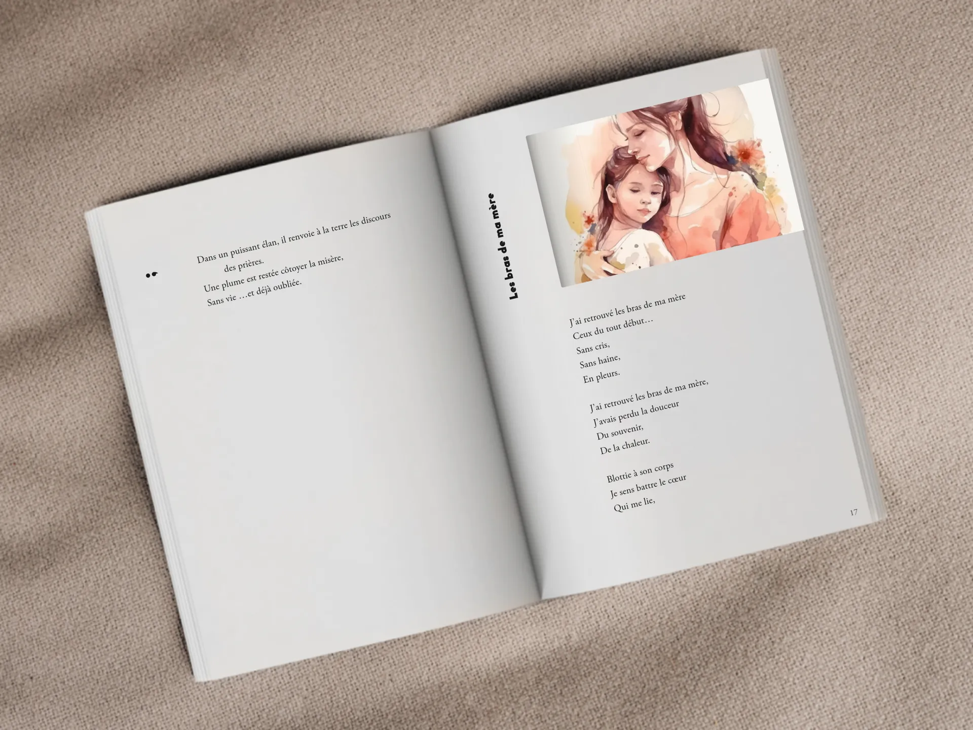 Cover of the book