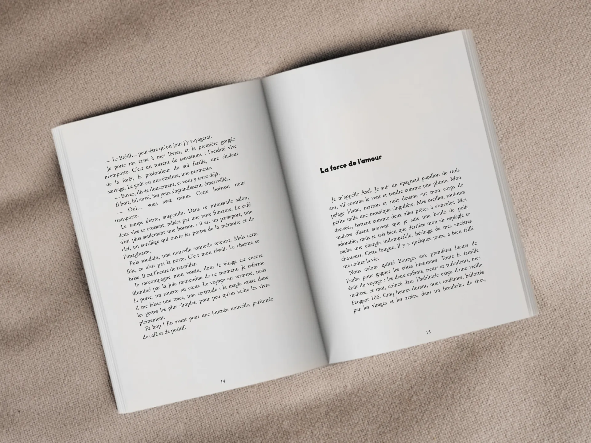 Cover of the book