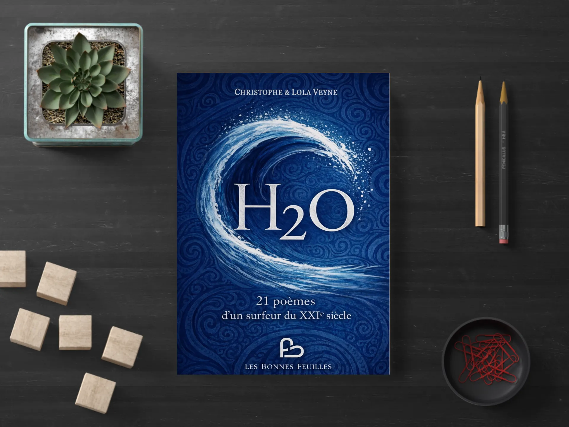 Cover of the book