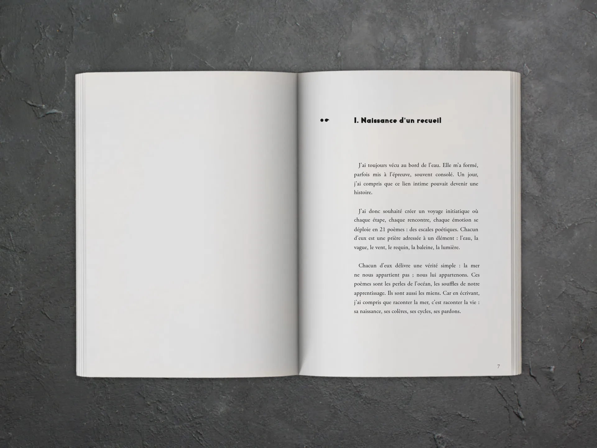 Cover of the book