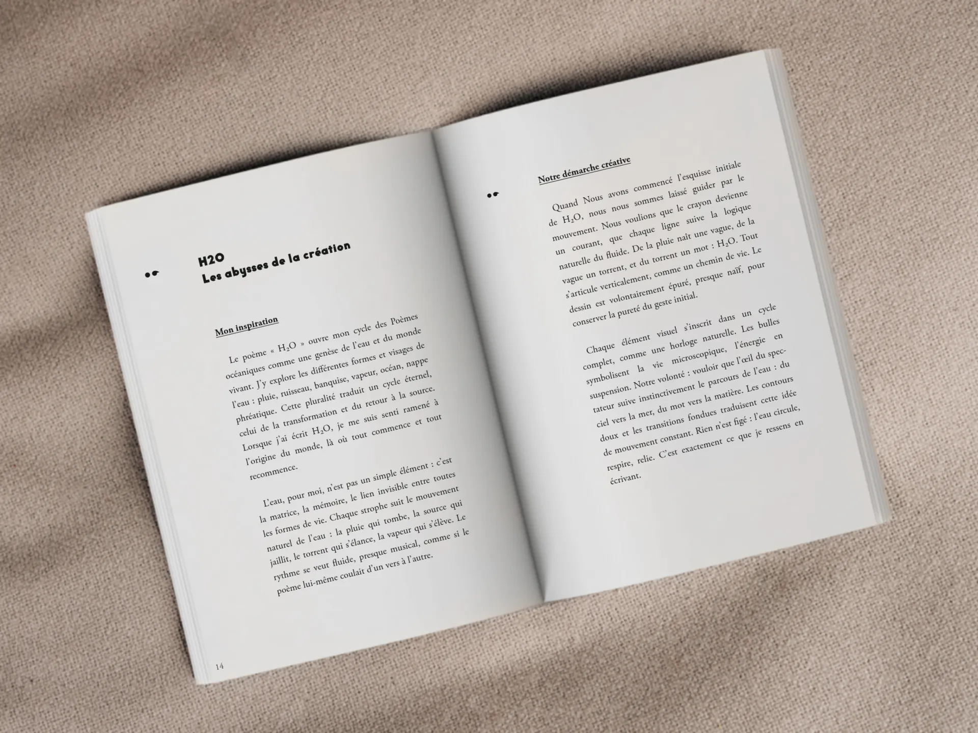 Cover of the book