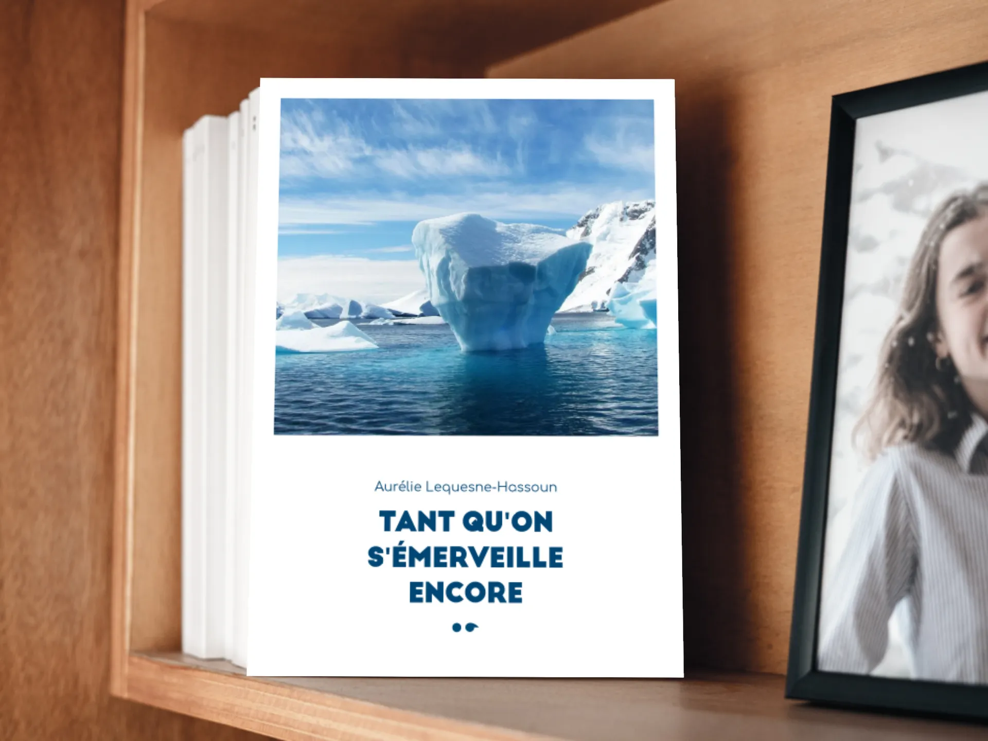 Cover of the book