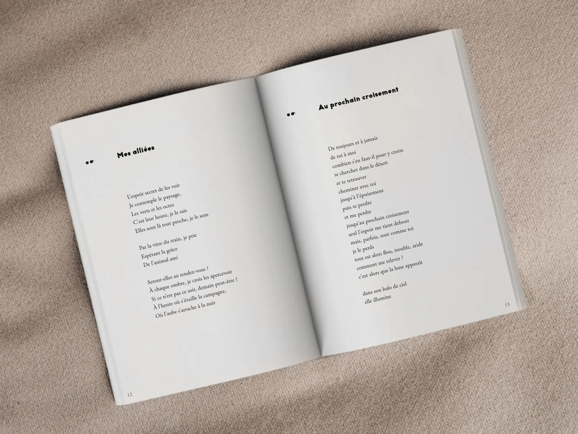 Cover of the book