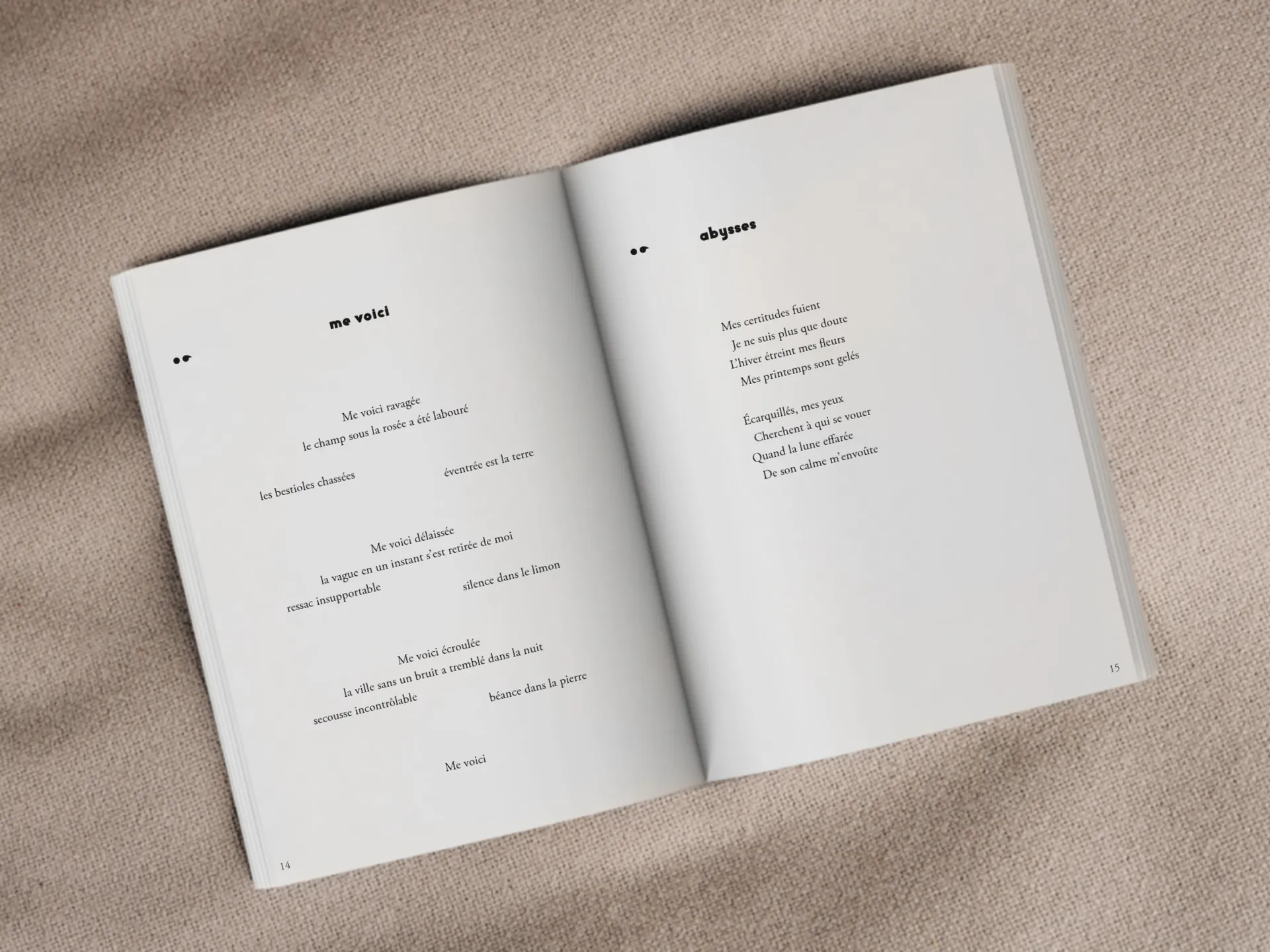 Cover of the book