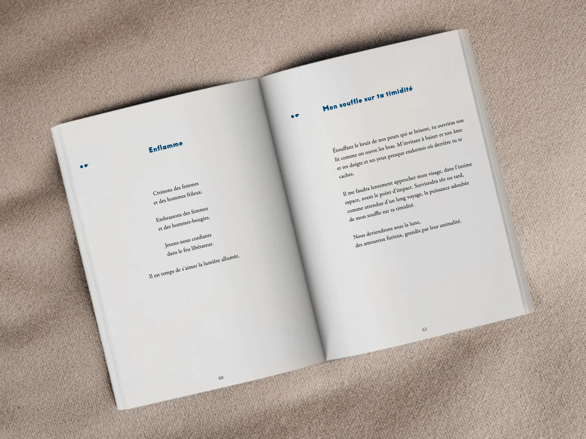 Cover of the book