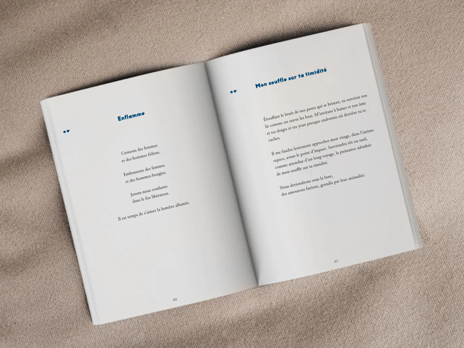 Cover of the book