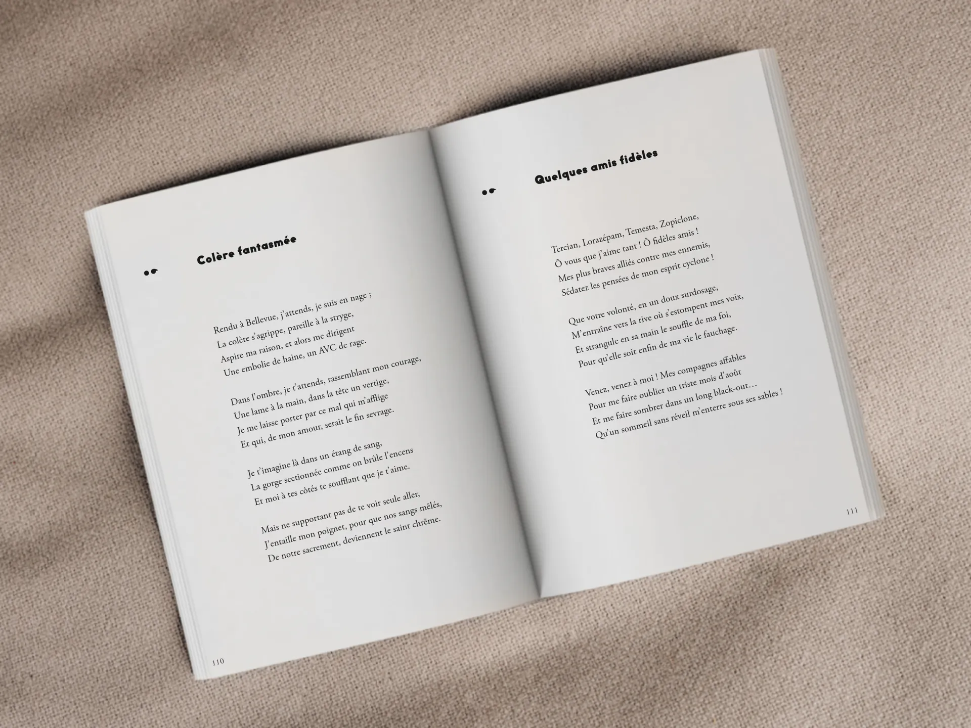 Cover of the book
