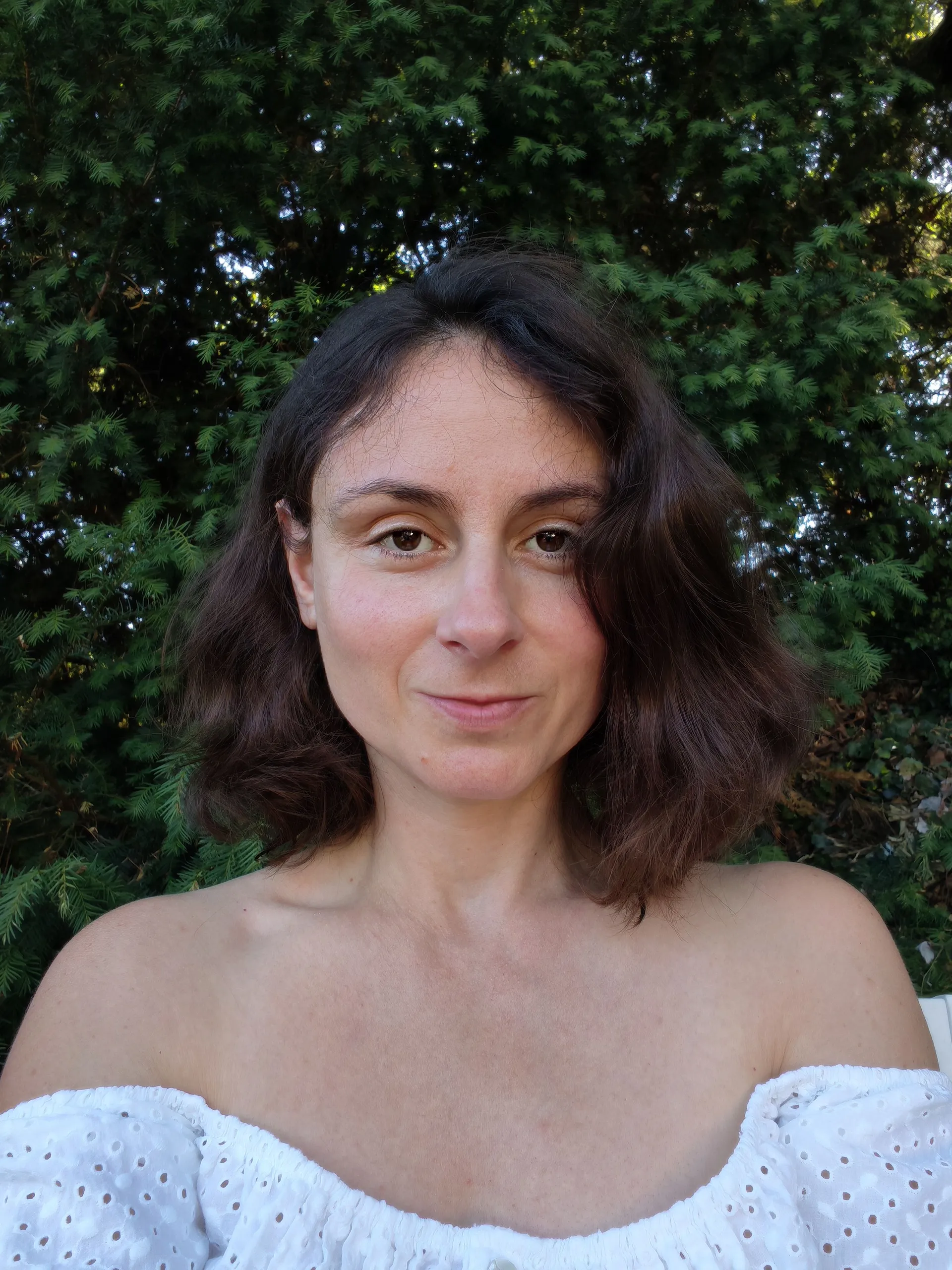 Portrait of the author