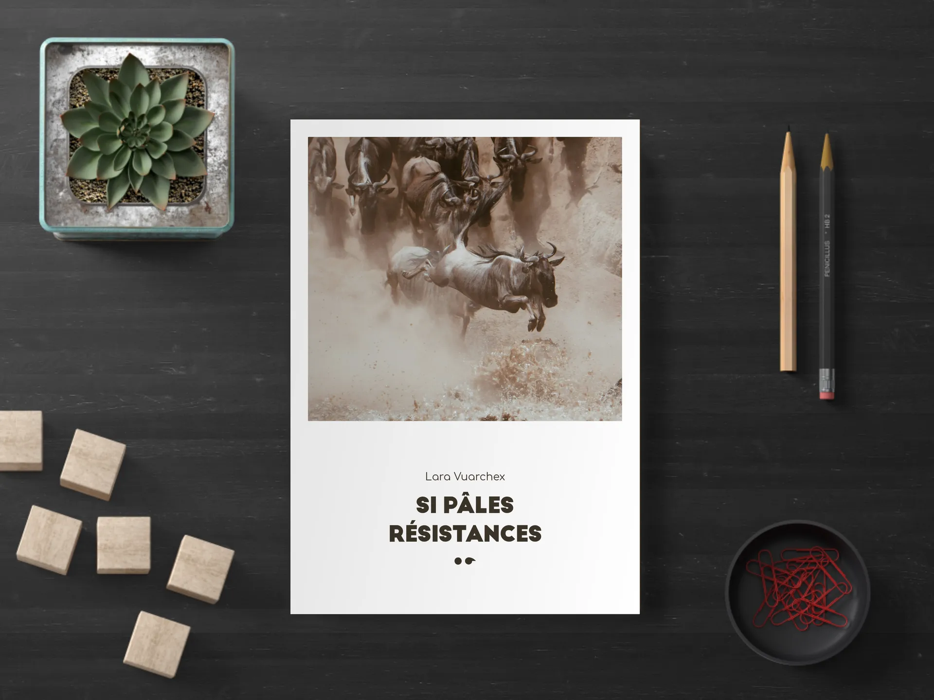 Cover of the book