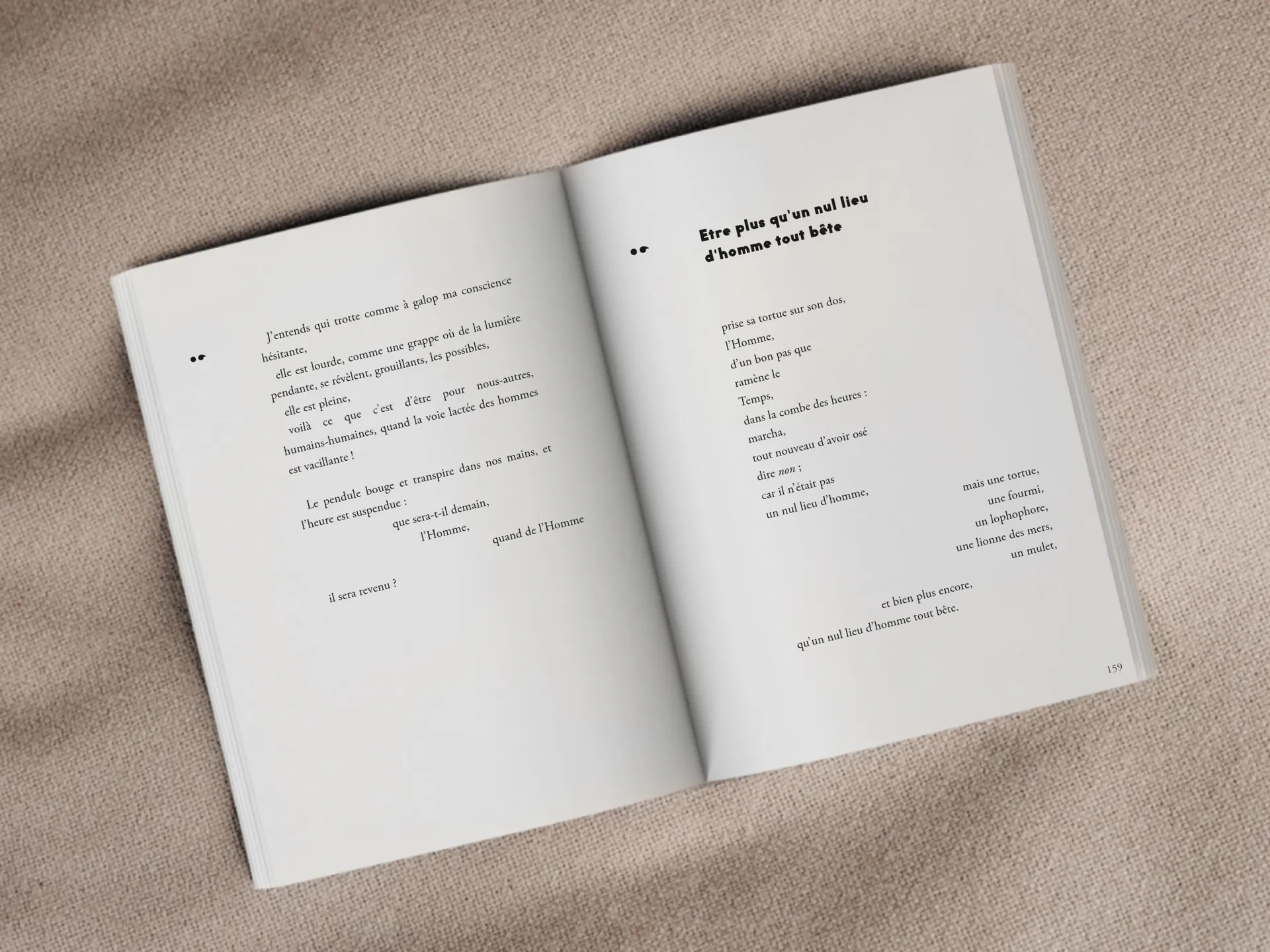 Cover of the book