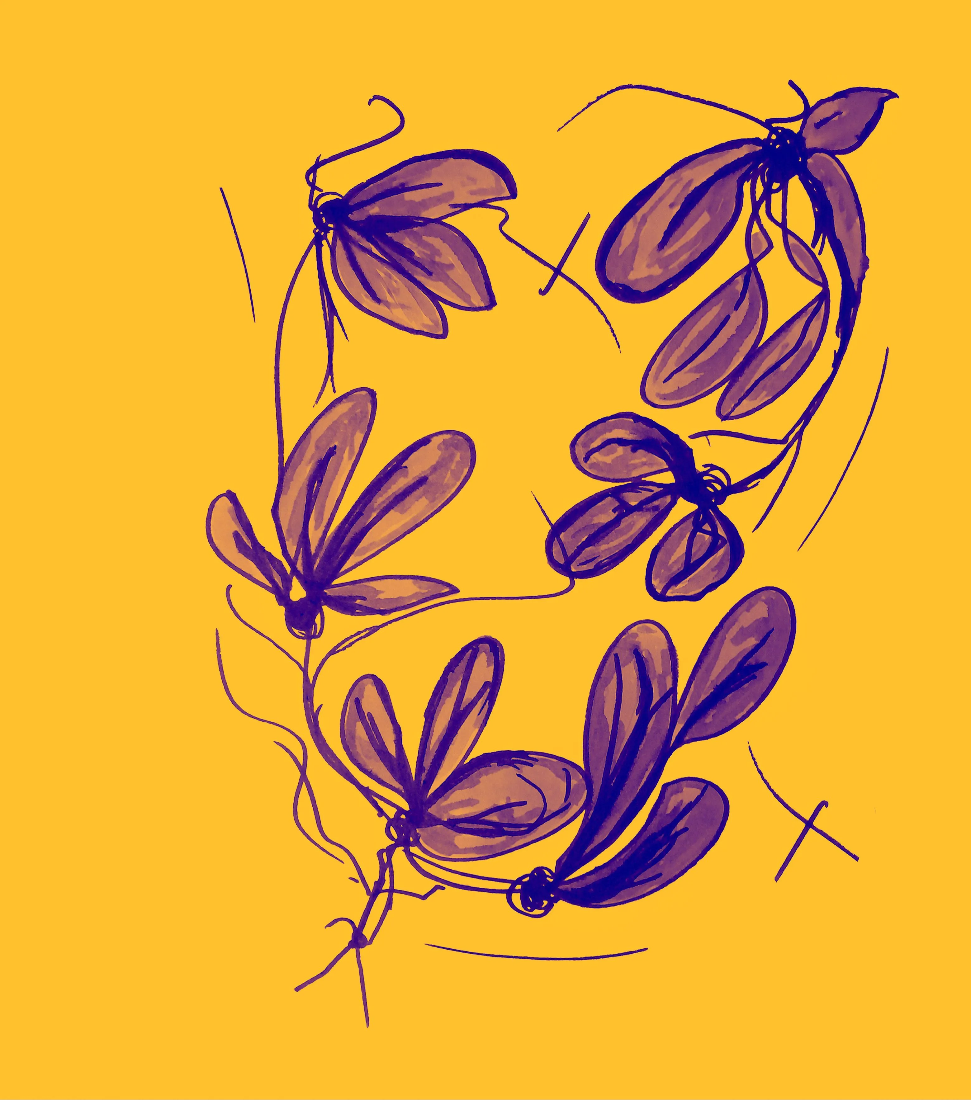 Portrait de l'auteur