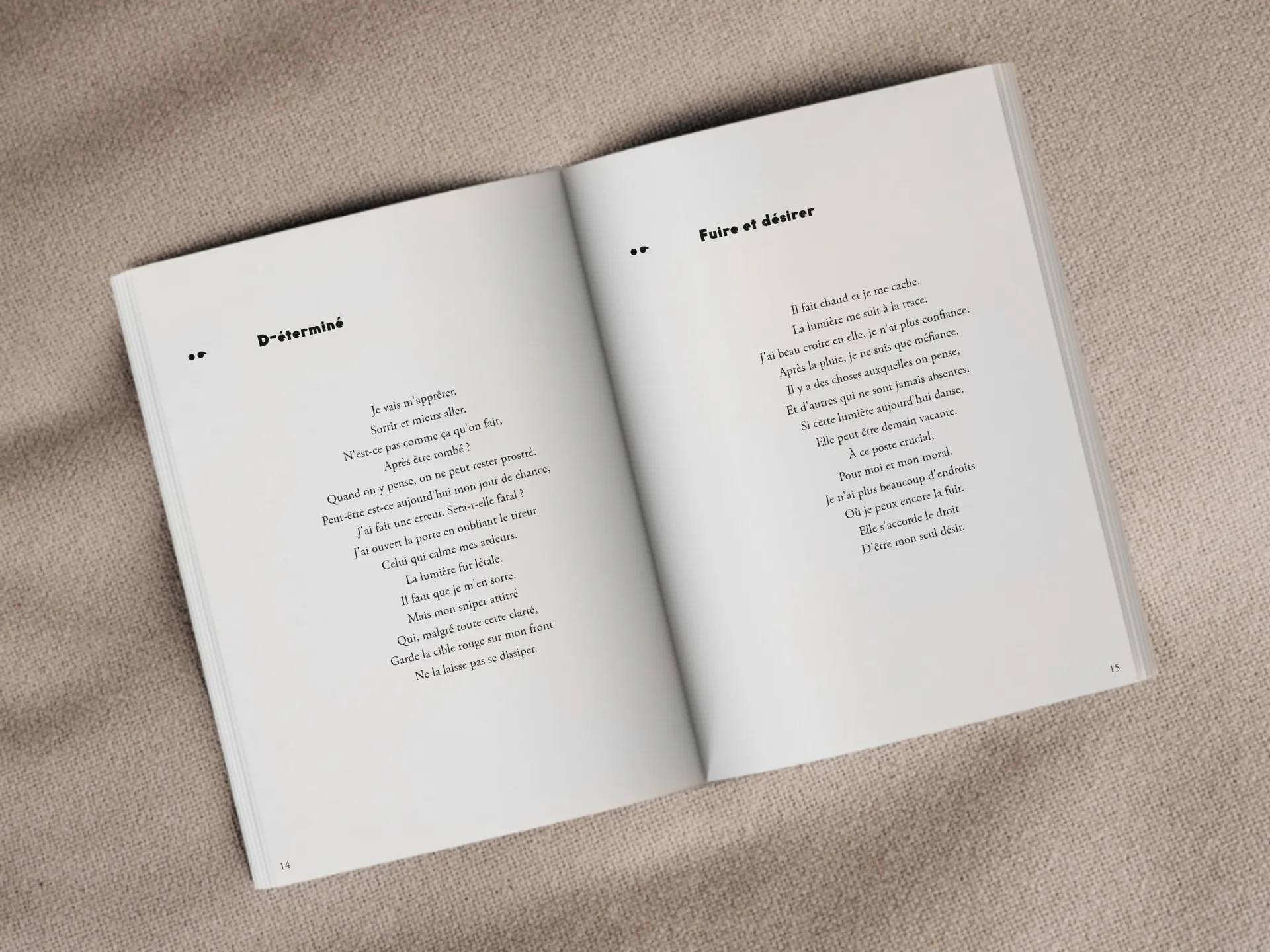 Cover of the book