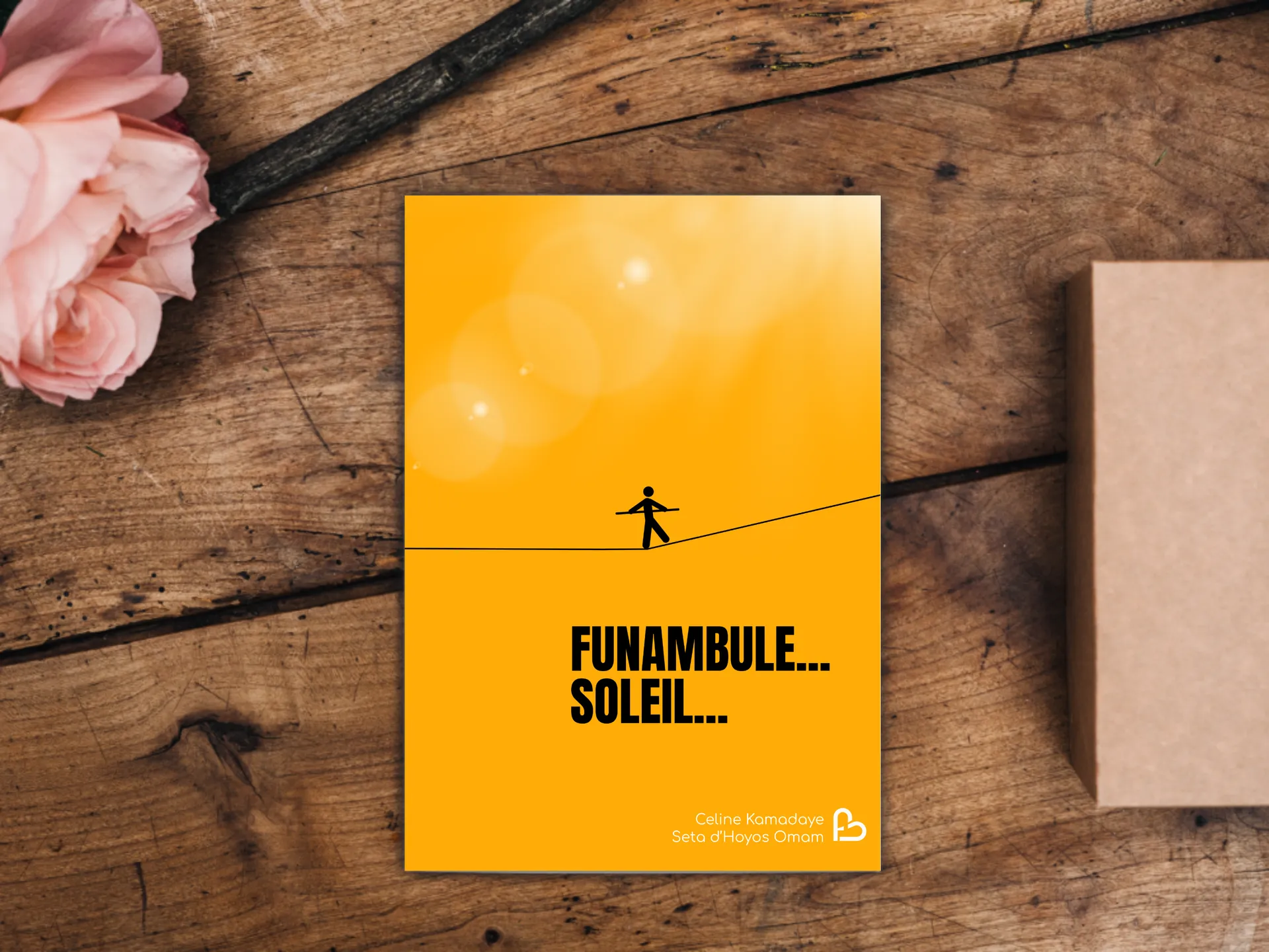Cover of the book