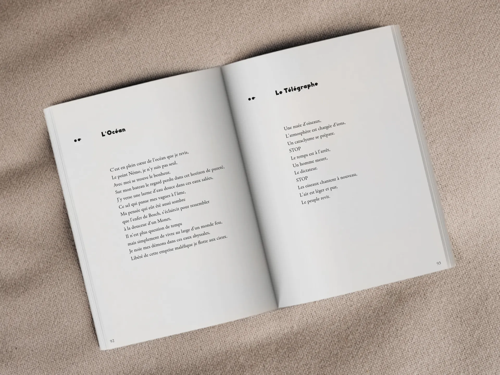 Cover of the book