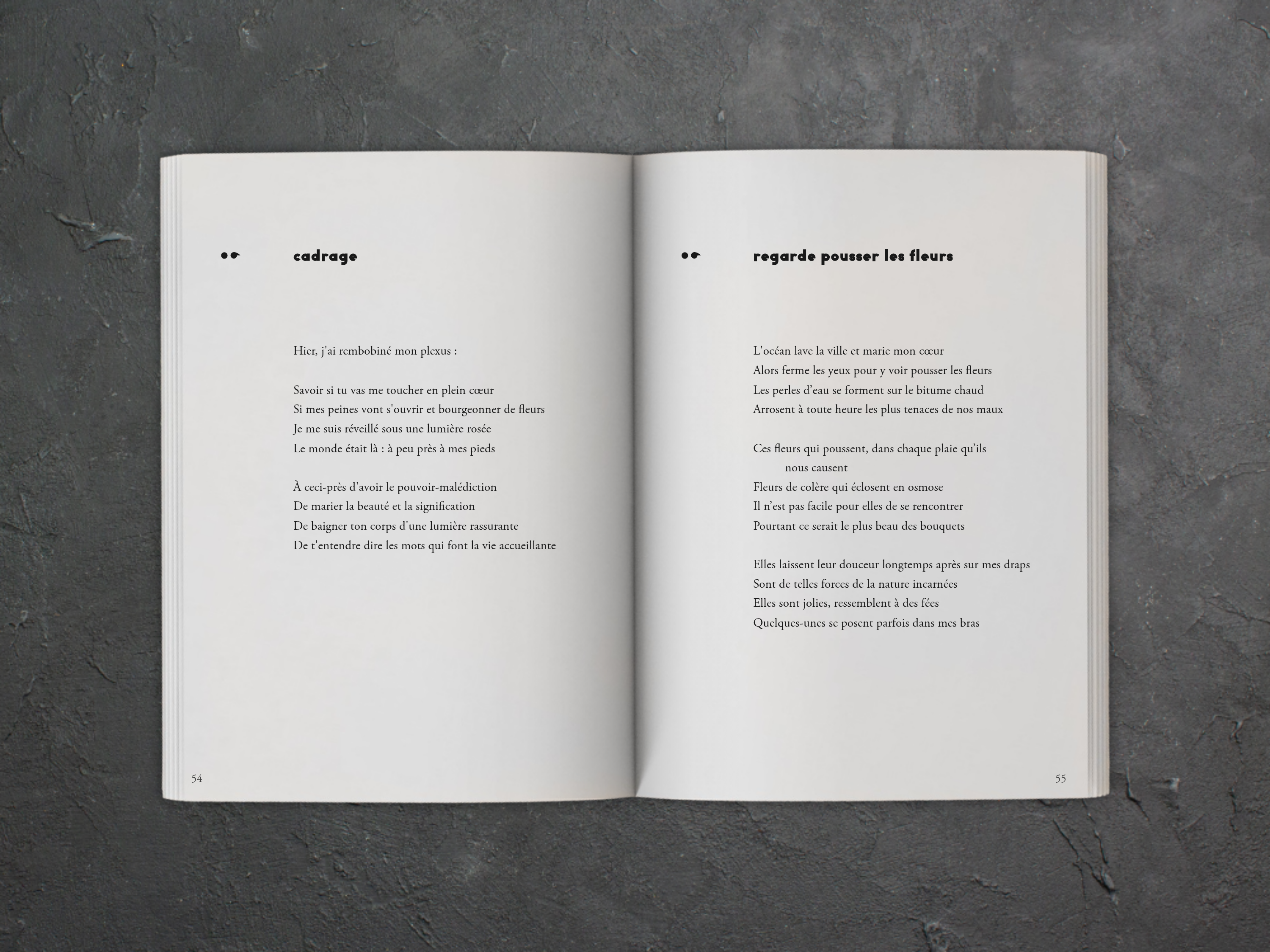 Cover of the book
