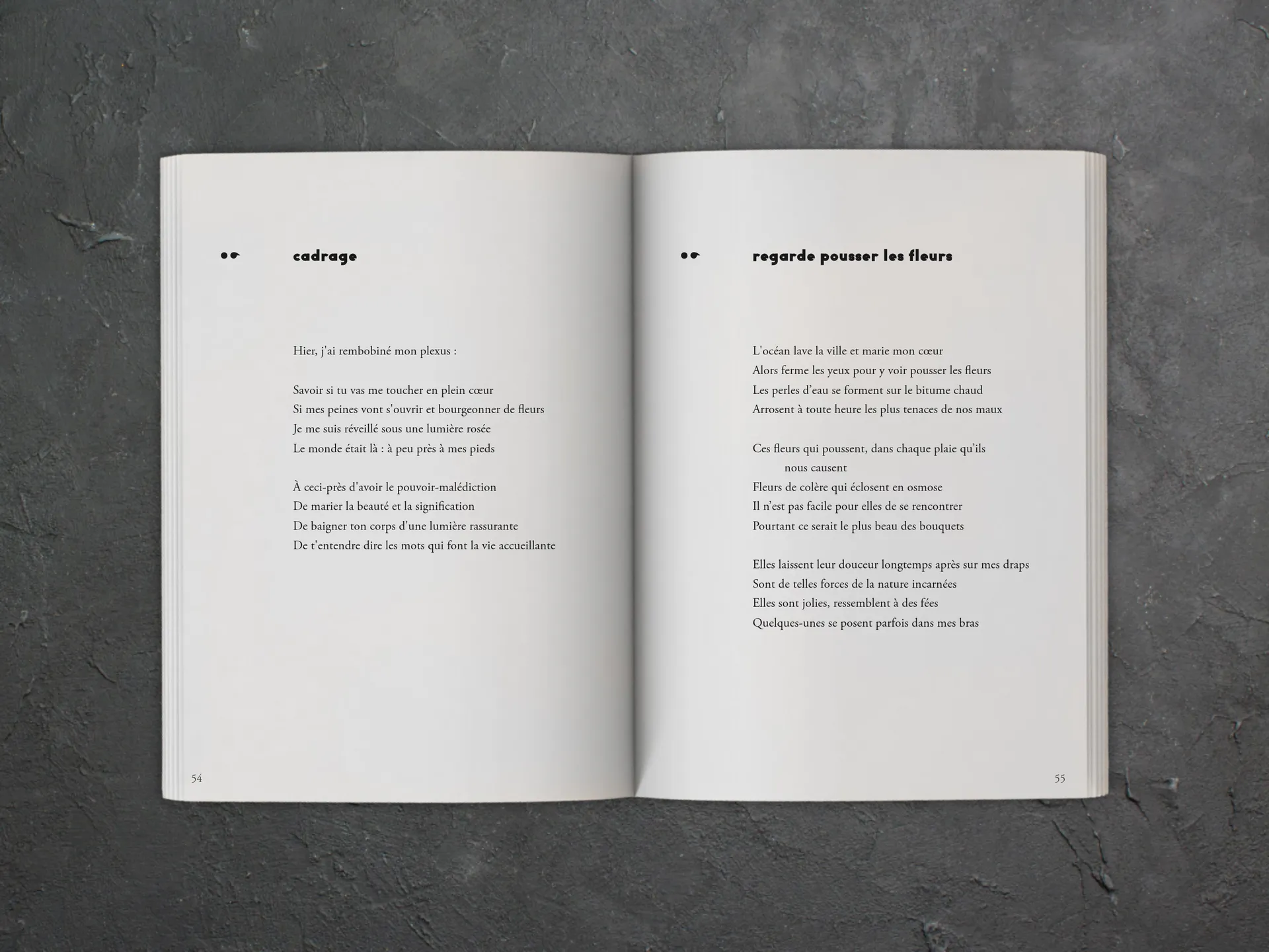 Cover of the book