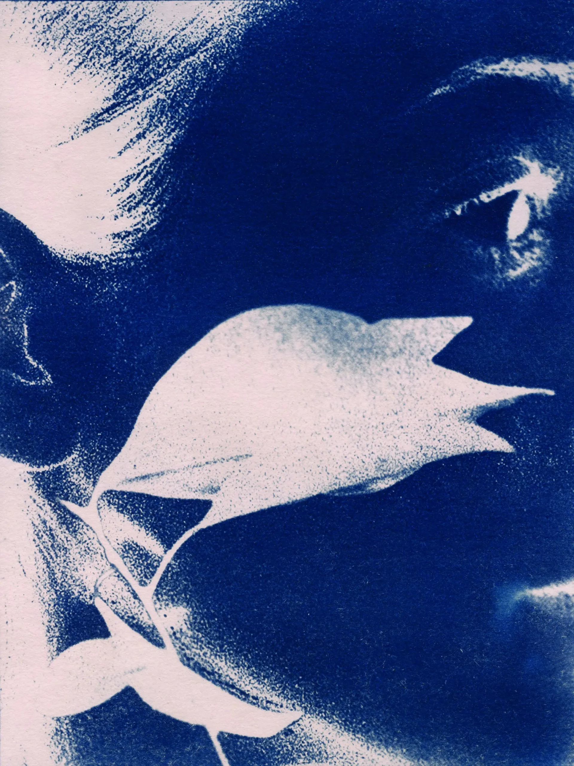 Portrait of the author