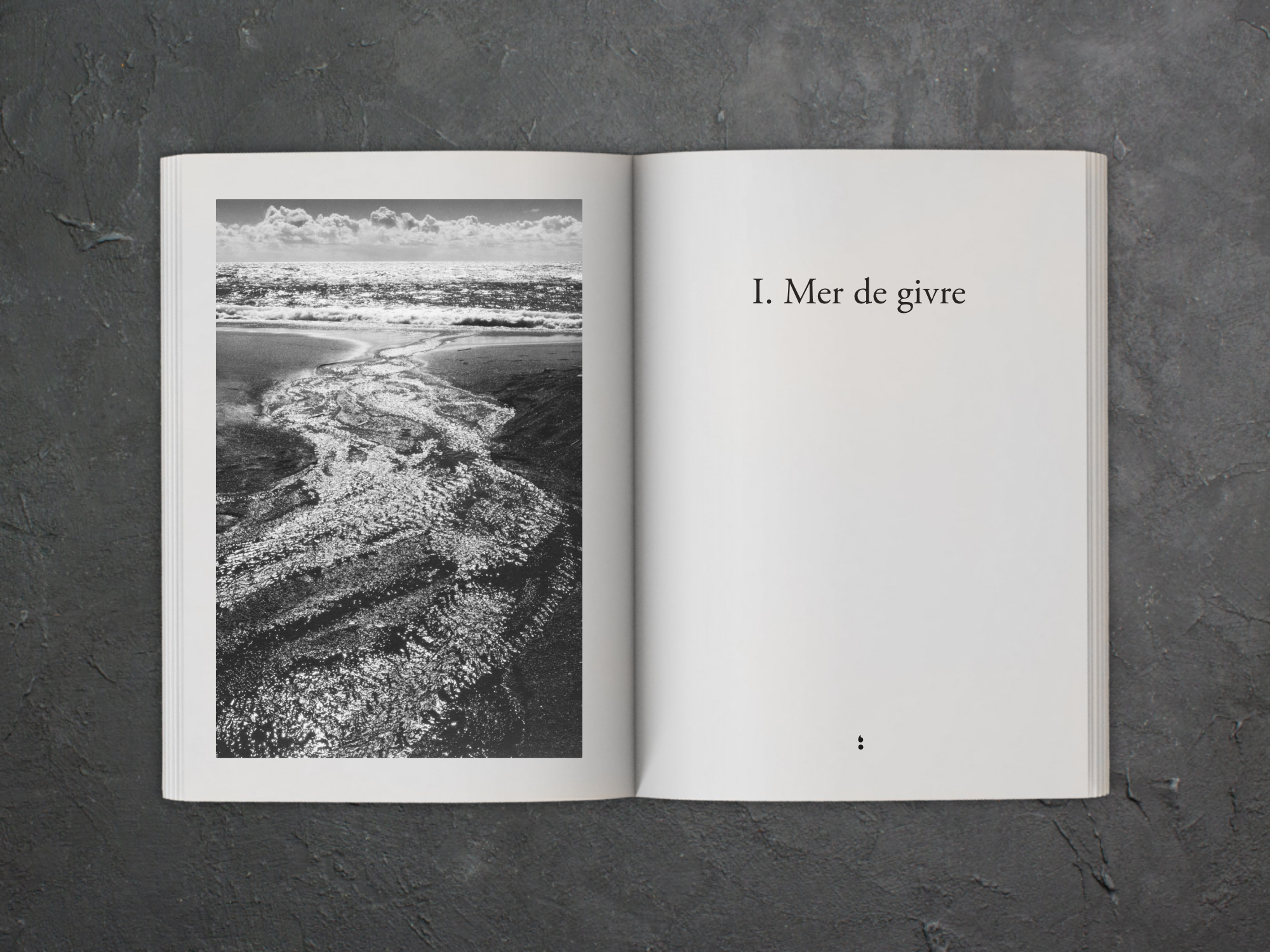 Cover of the book