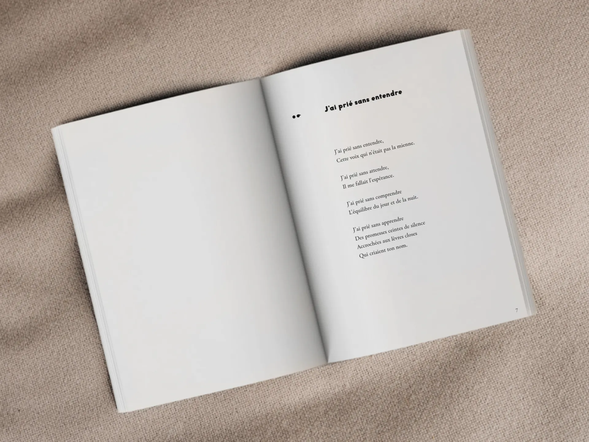Cover of the book