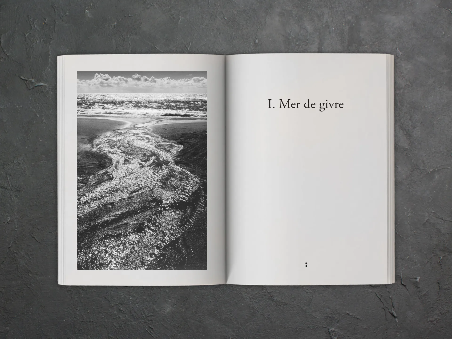 Cover of the book